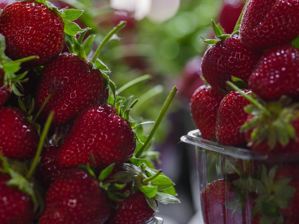a close up of a bunch of strawberries in a container
