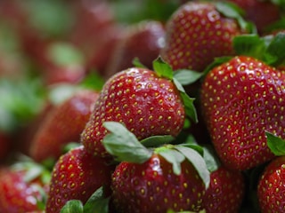 a close up of a bunch of strawberries