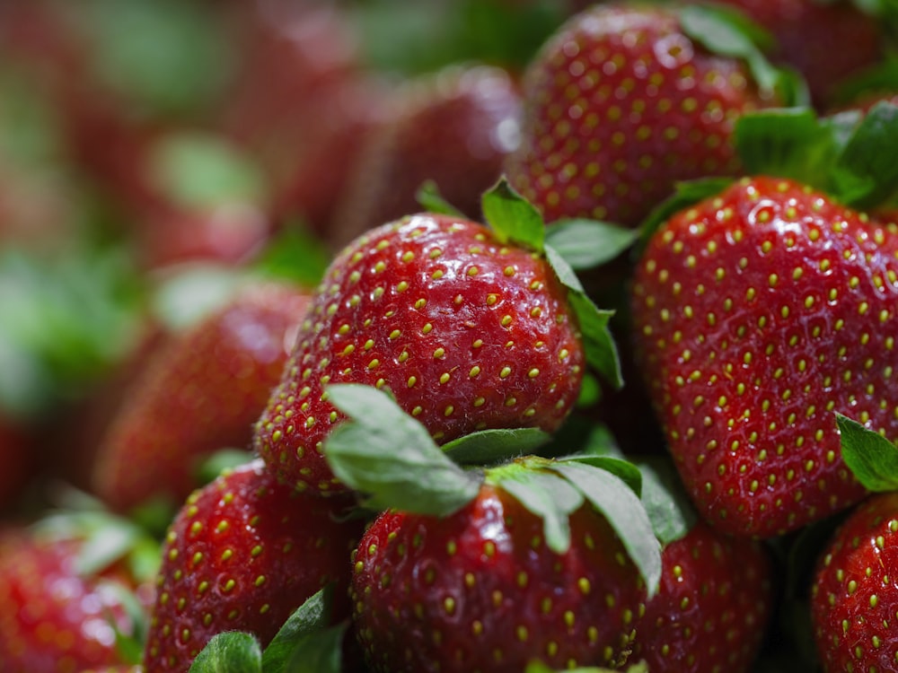 a close up of a bunch of strawberries