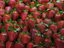 a large group of strawberries with leaves on them