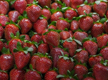 a large group of strawberries with leaves on them