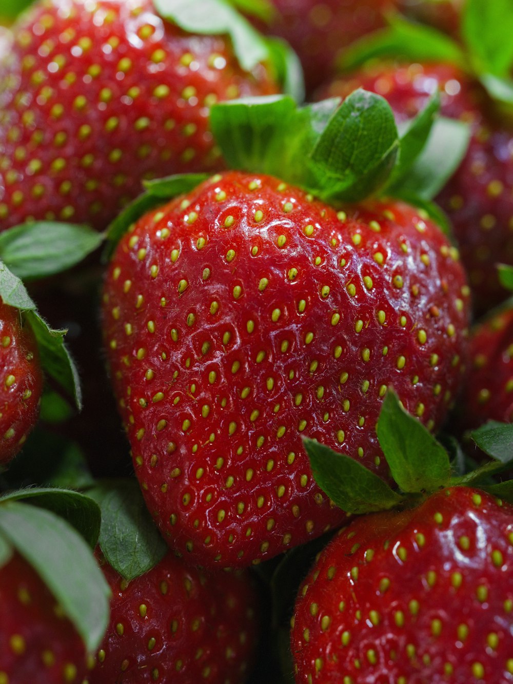 a close up of a bunch of strawberries