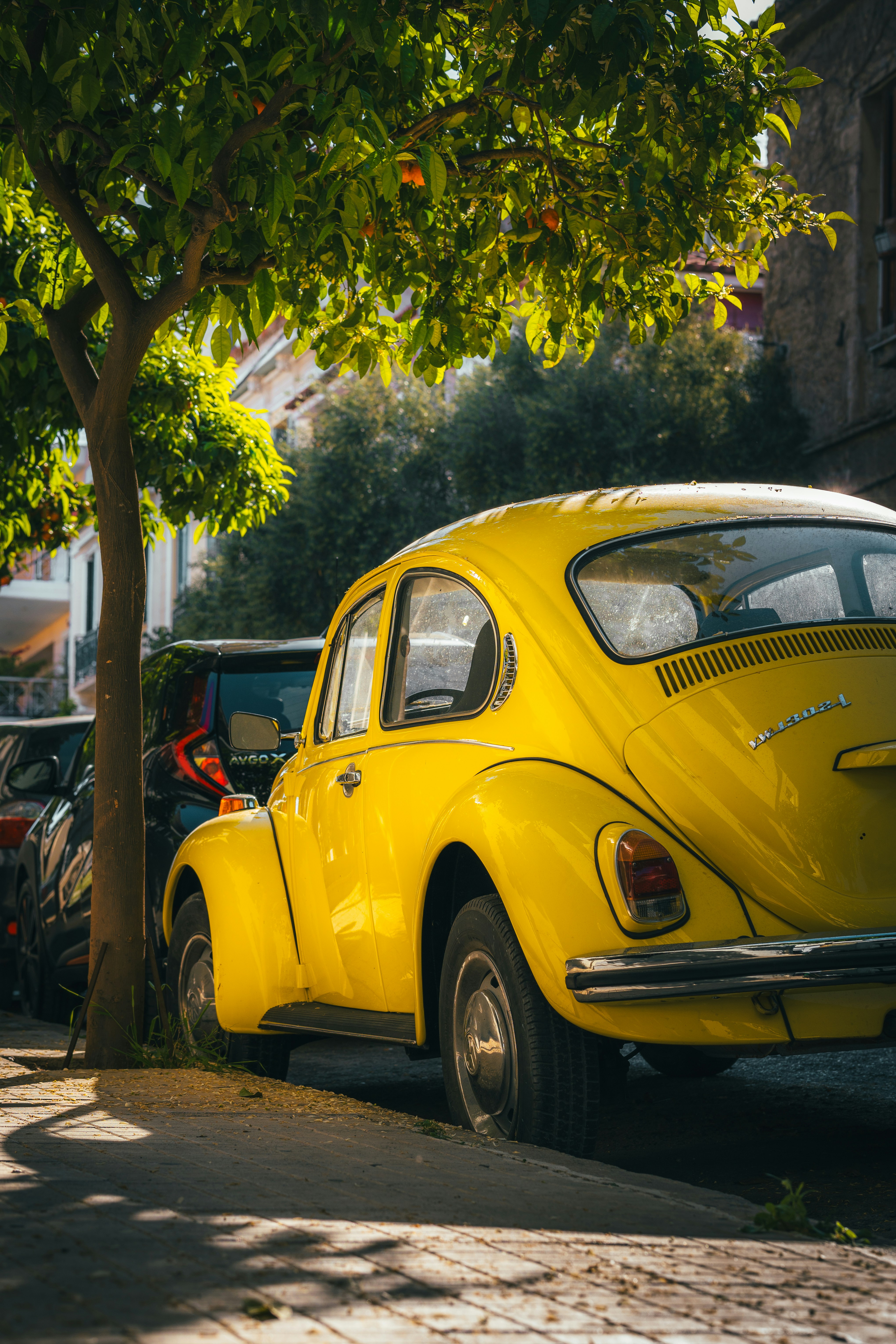 Photo by electerious