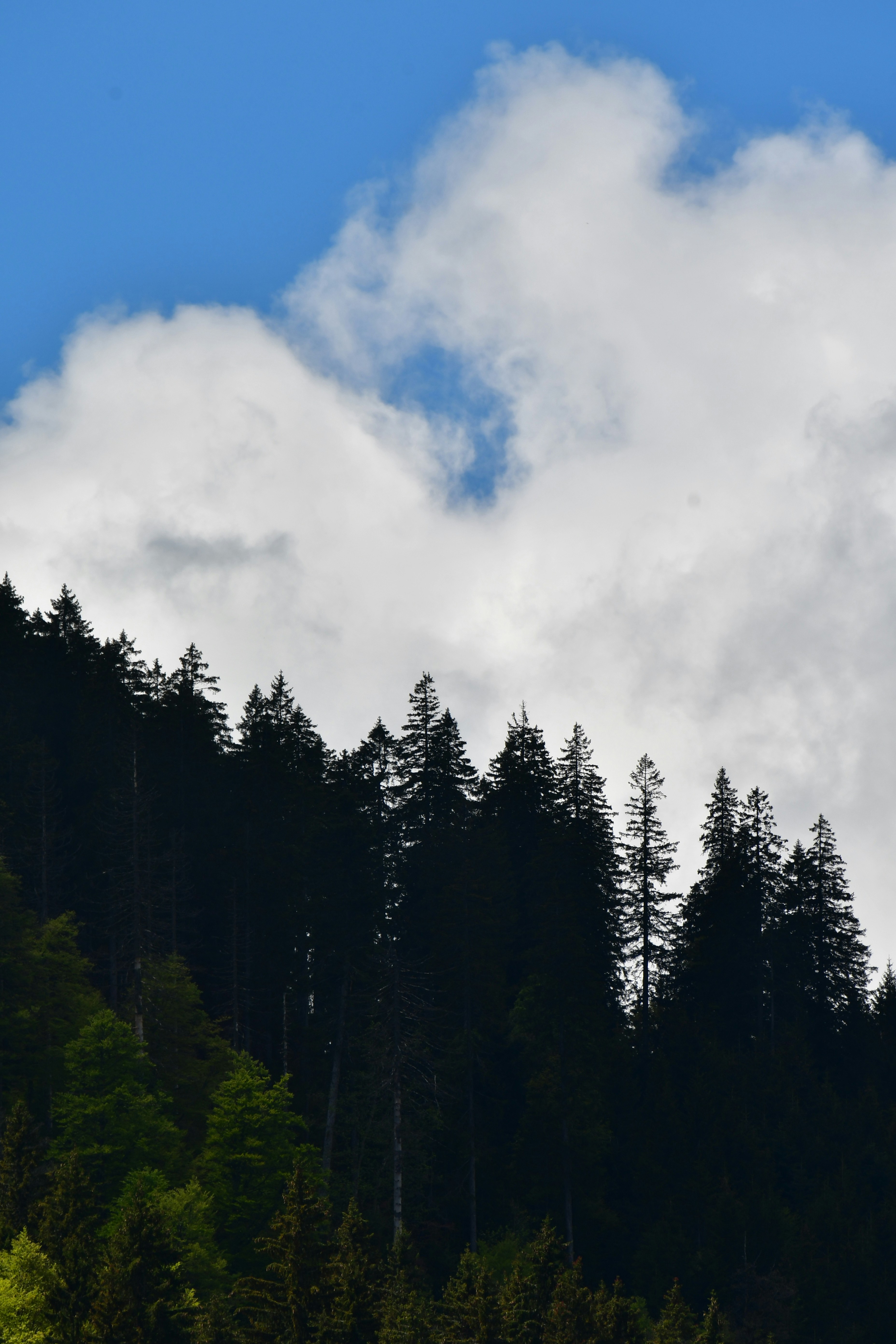 Photo by pedrino5_official