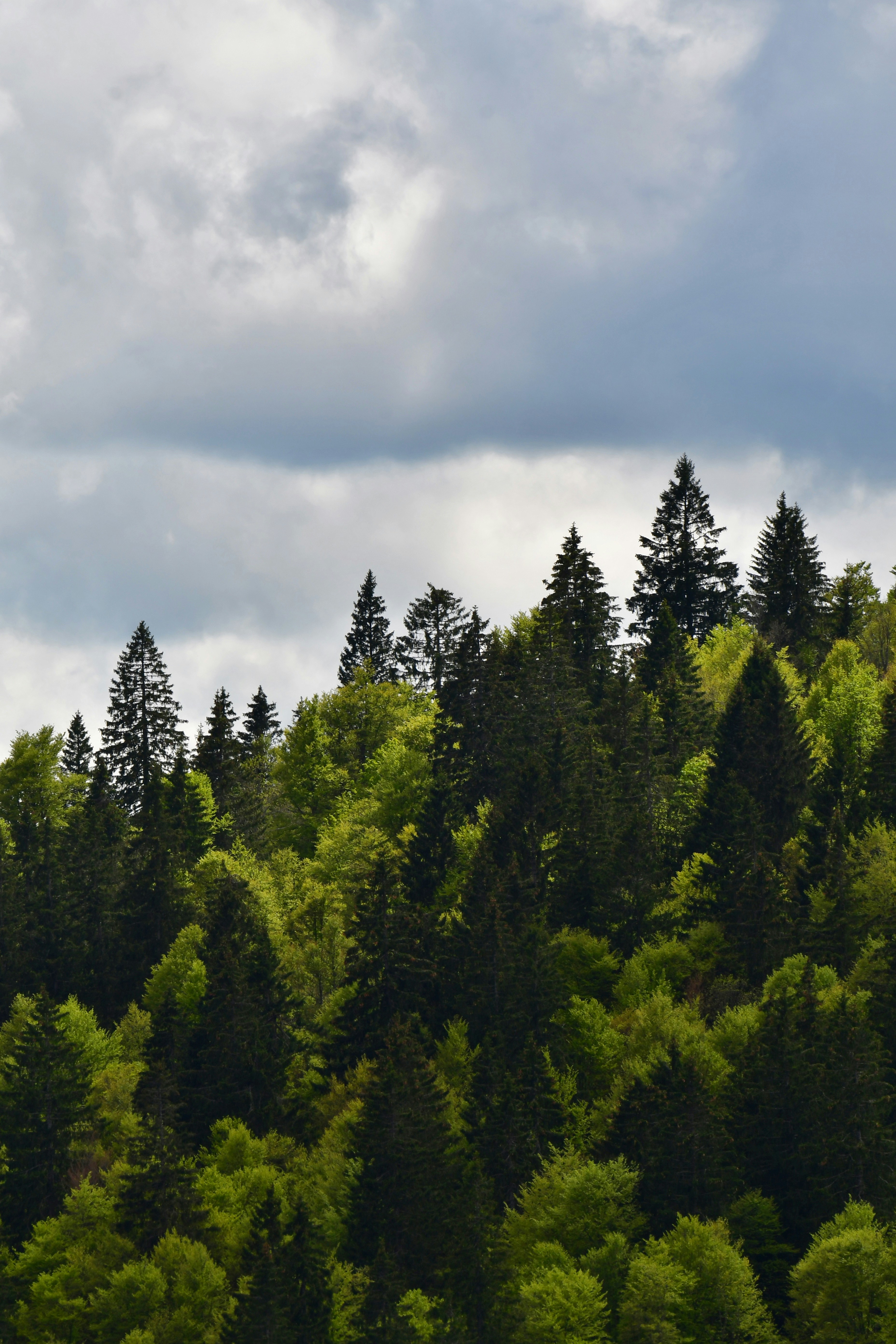 Photo by pedrino5_official