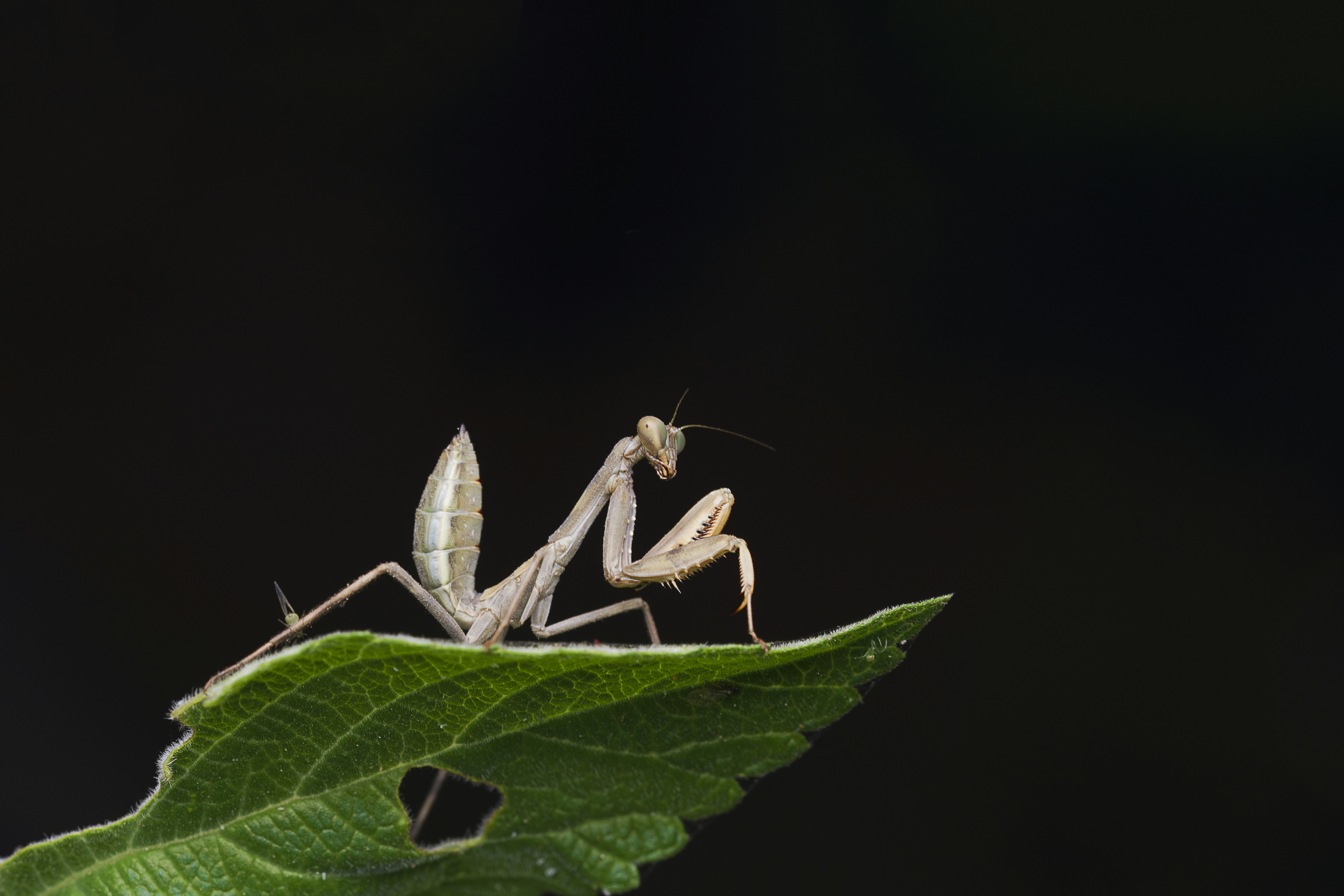 주말 SRT 경로 우대 할인: 간편한 주말 여행