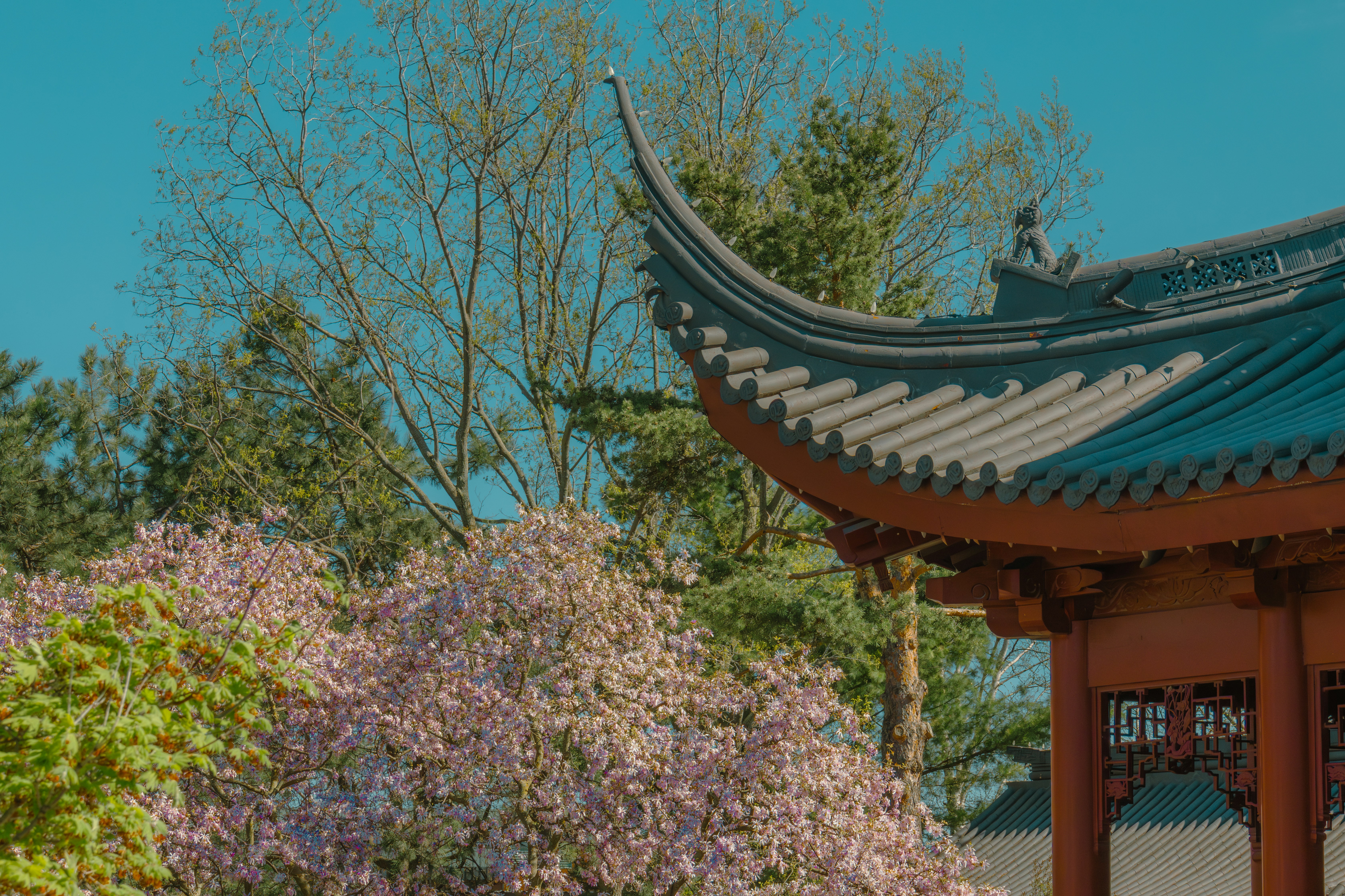 Photo by abdelkader1001