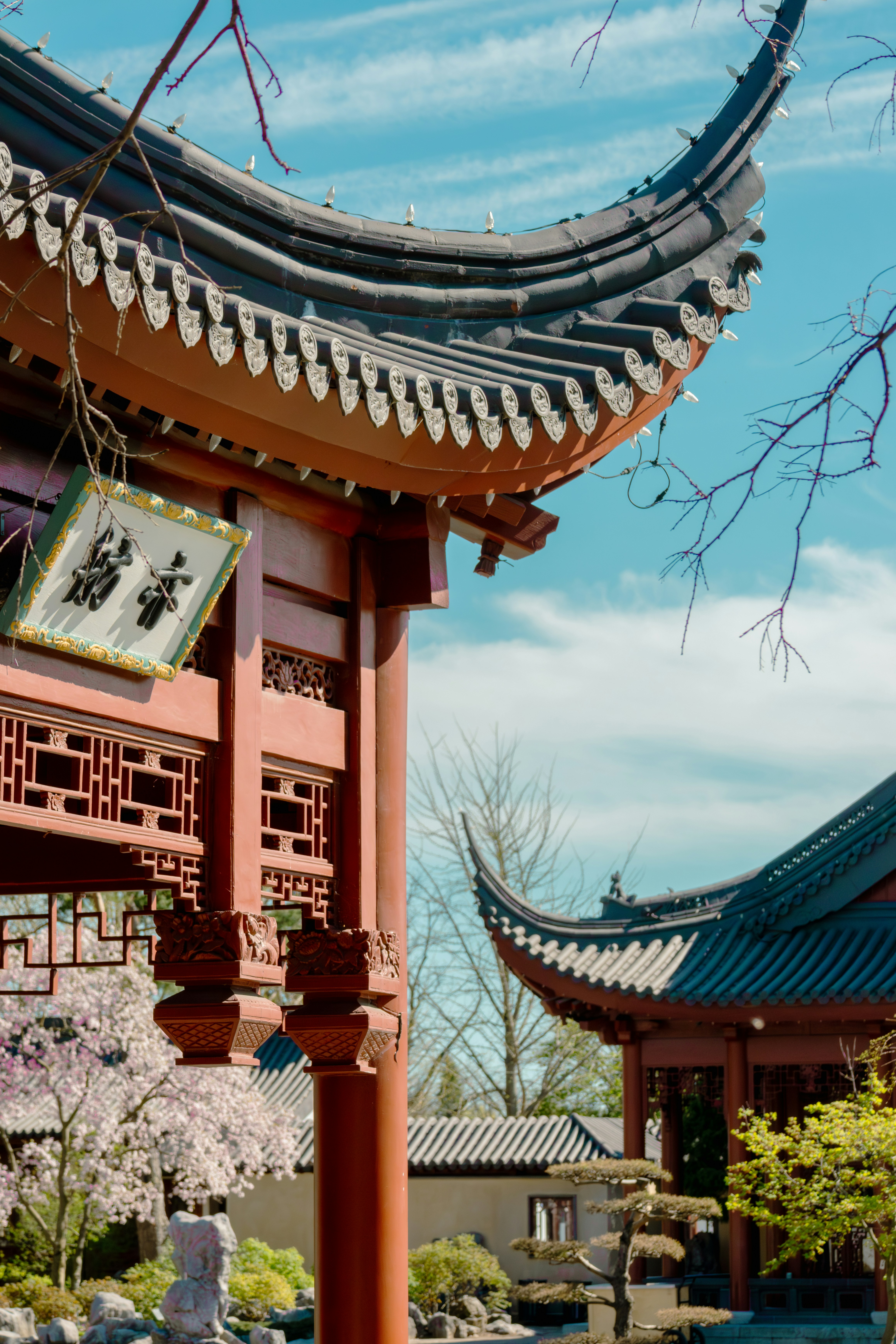 Photo by abdelkader1001