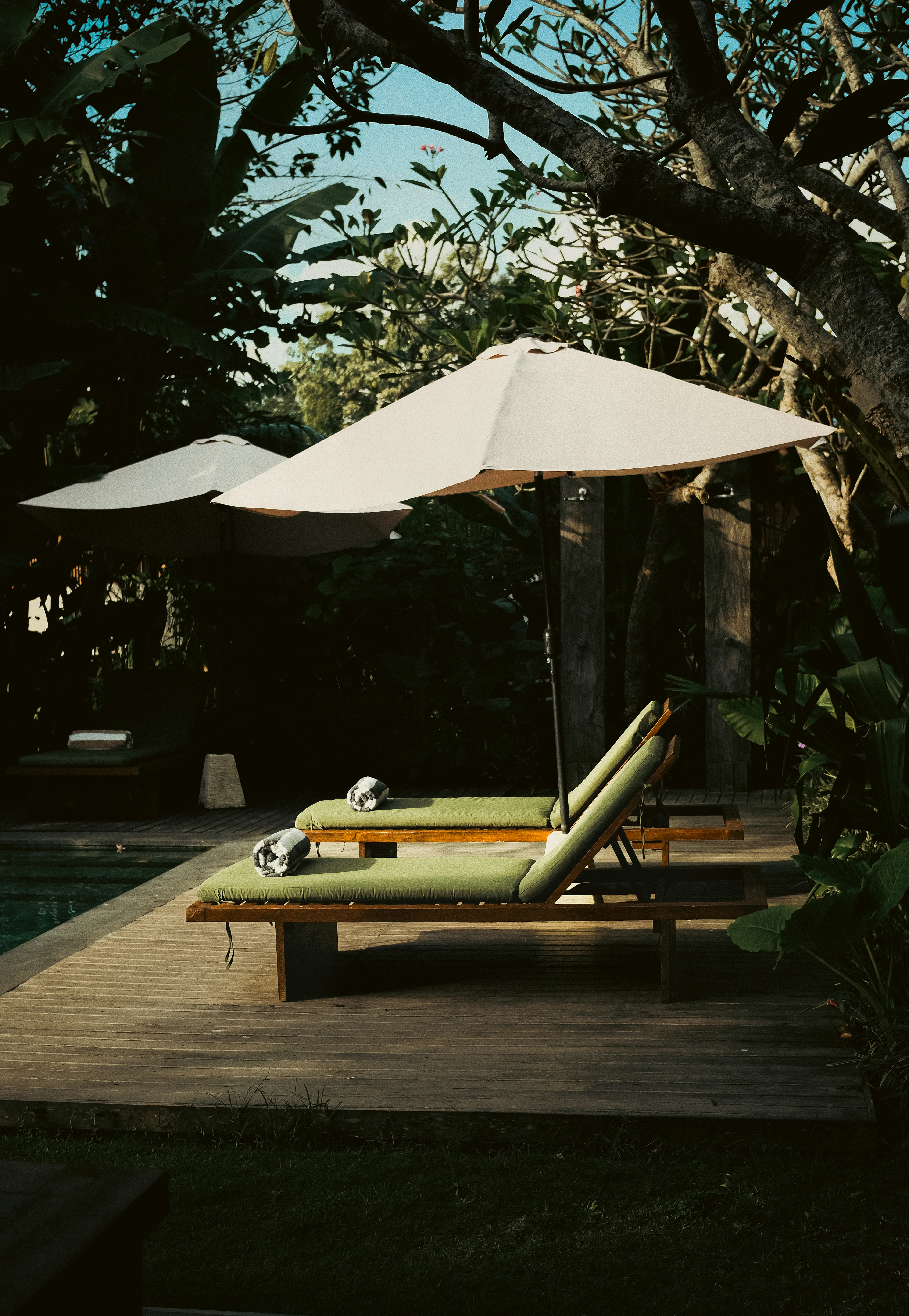 Photo by teguharia172