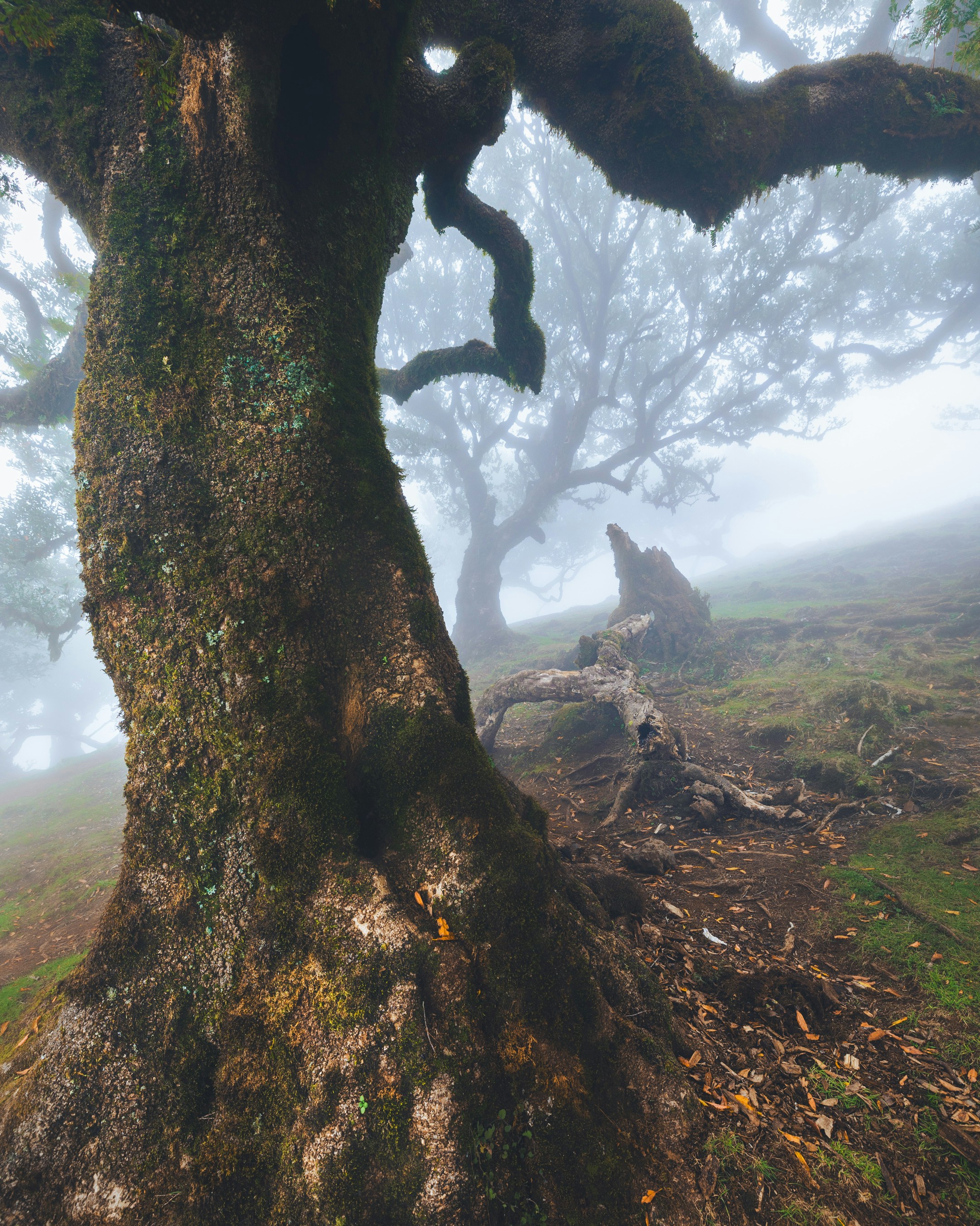 Photo by tomastrajan