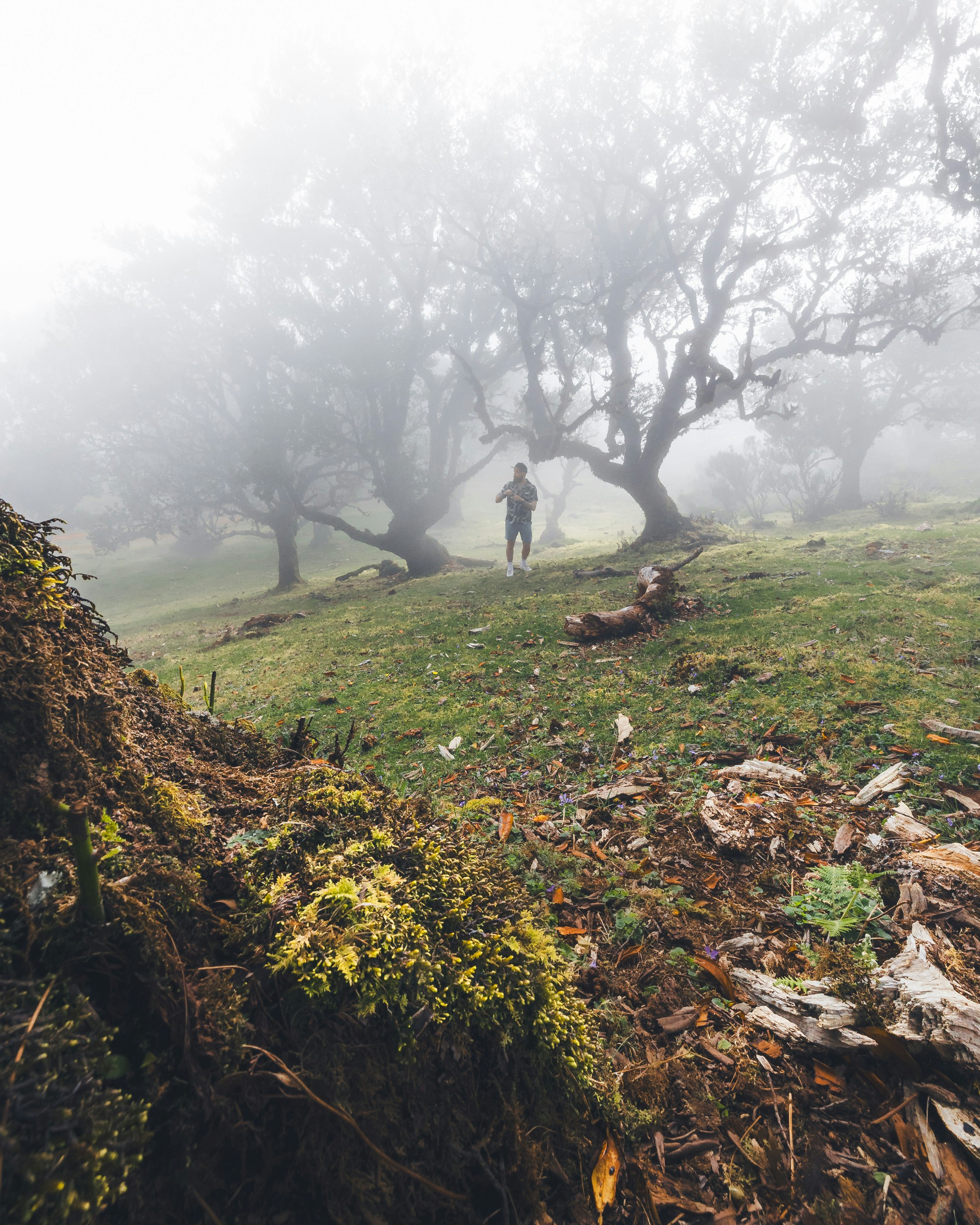 Photo by tomastrajan