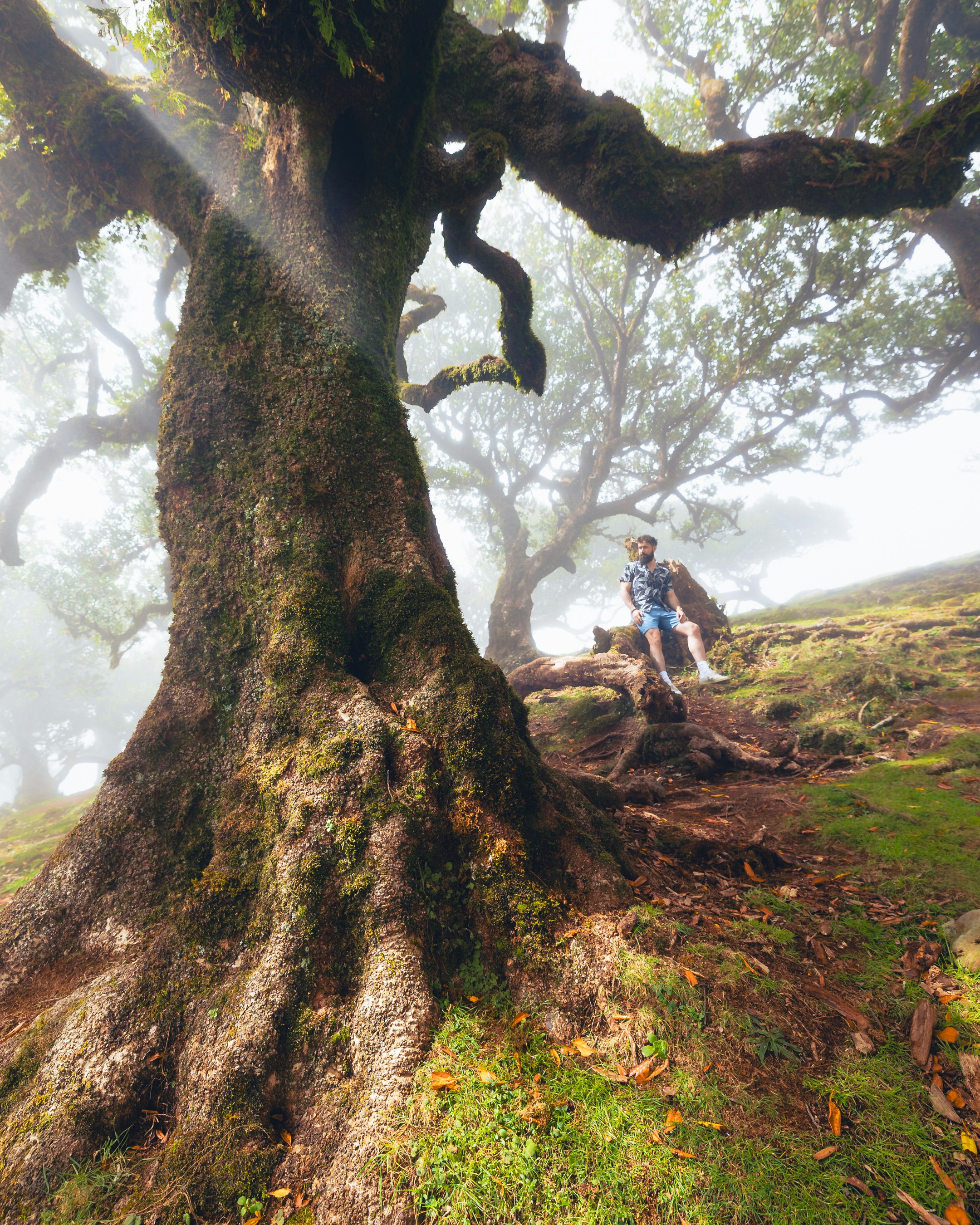 Photo by tomastrajan