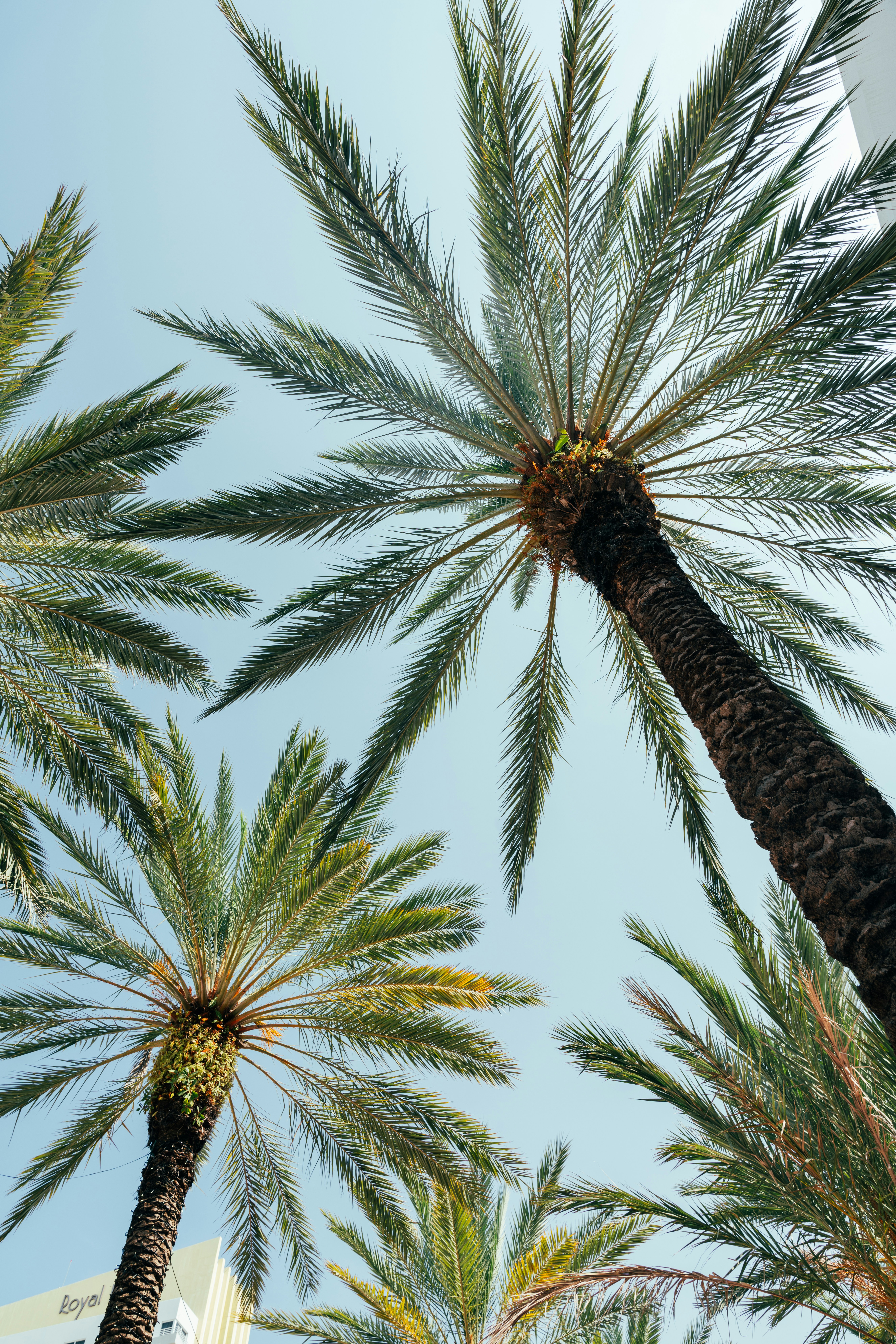 Photo by nellie_adamyan