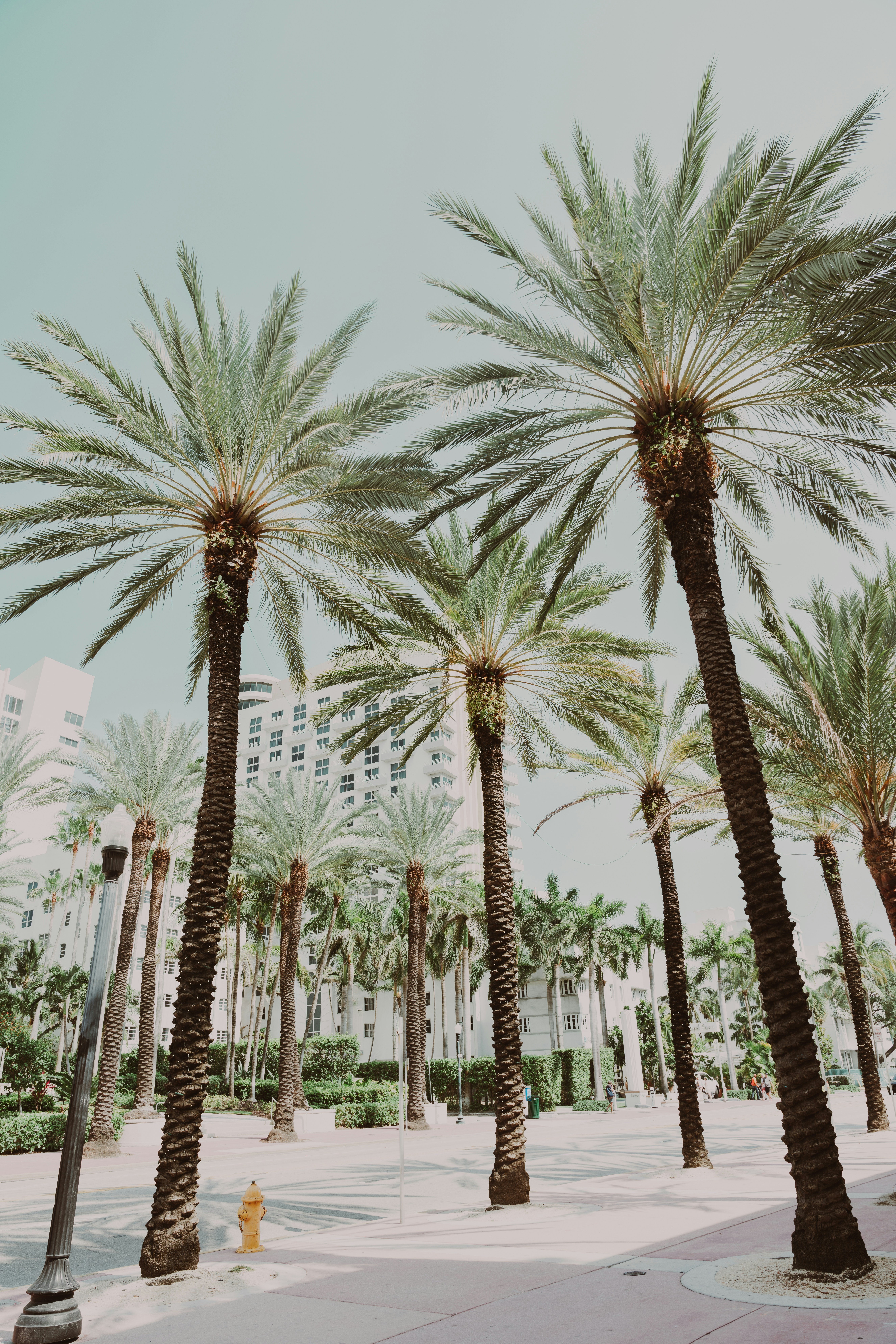 Photo by nellie_adamyan