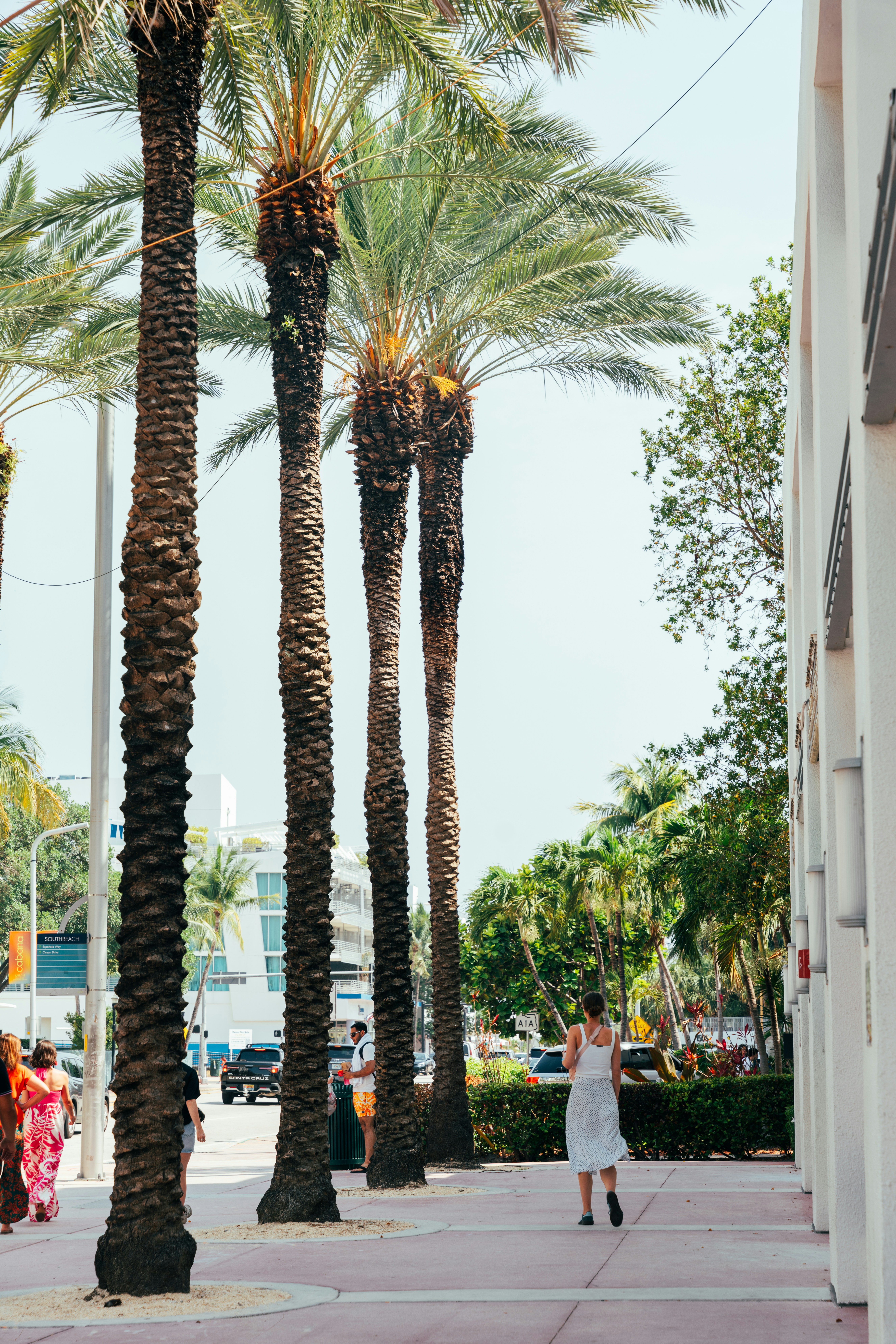 Photo by nellie_adamyan