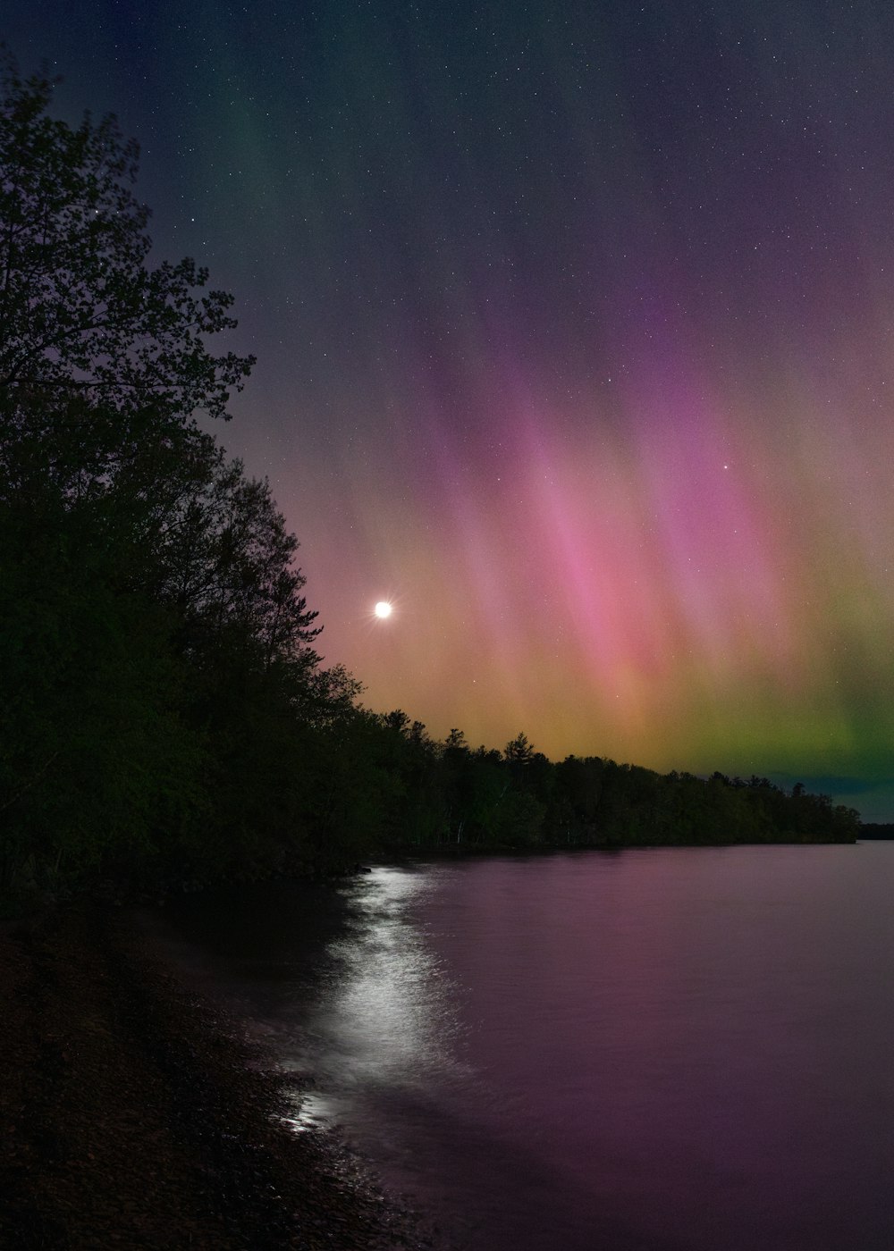 a purple and green aurora bore over a body of water