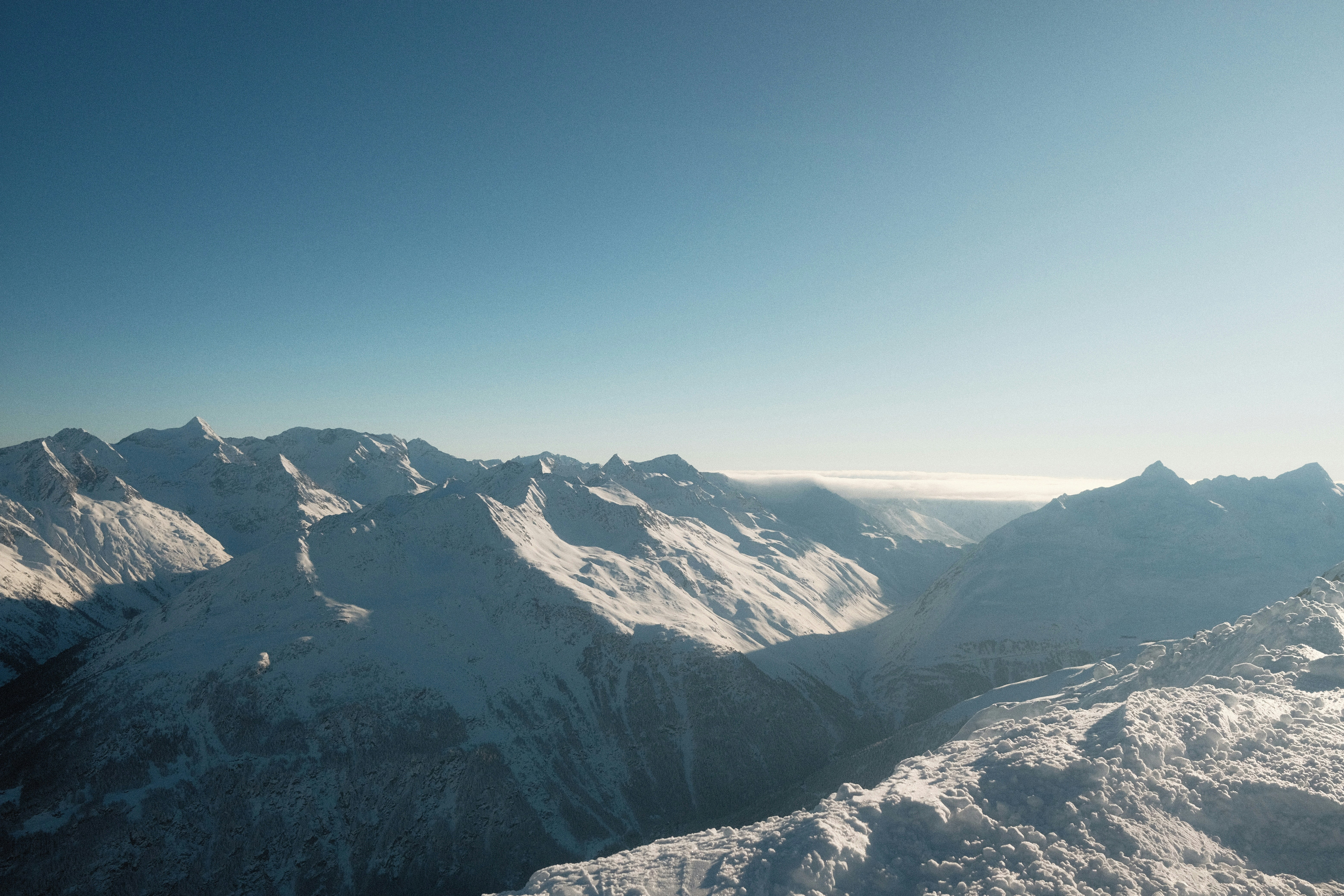 Photo by bring_shrubbery