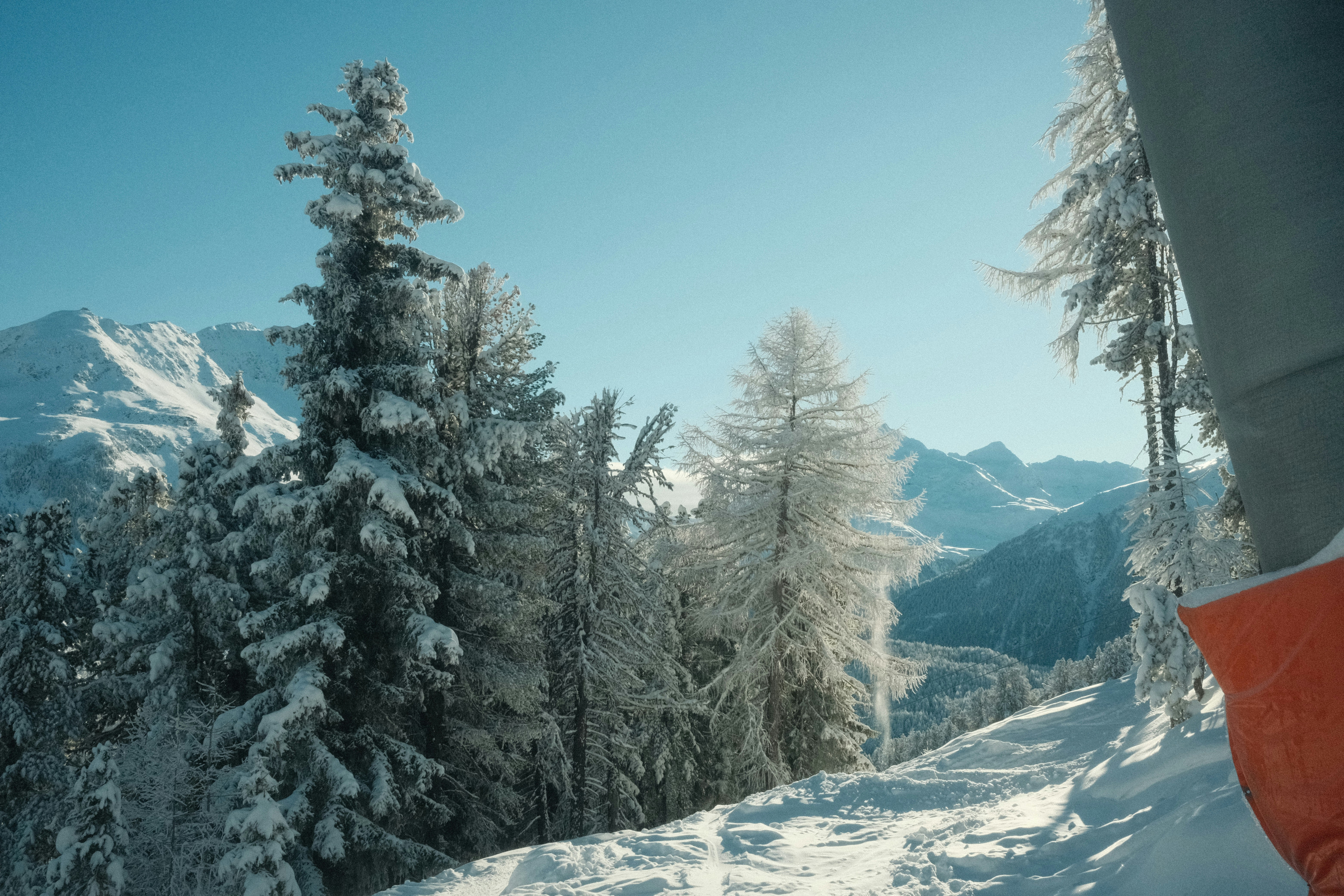 Photo by bring_shrubbery