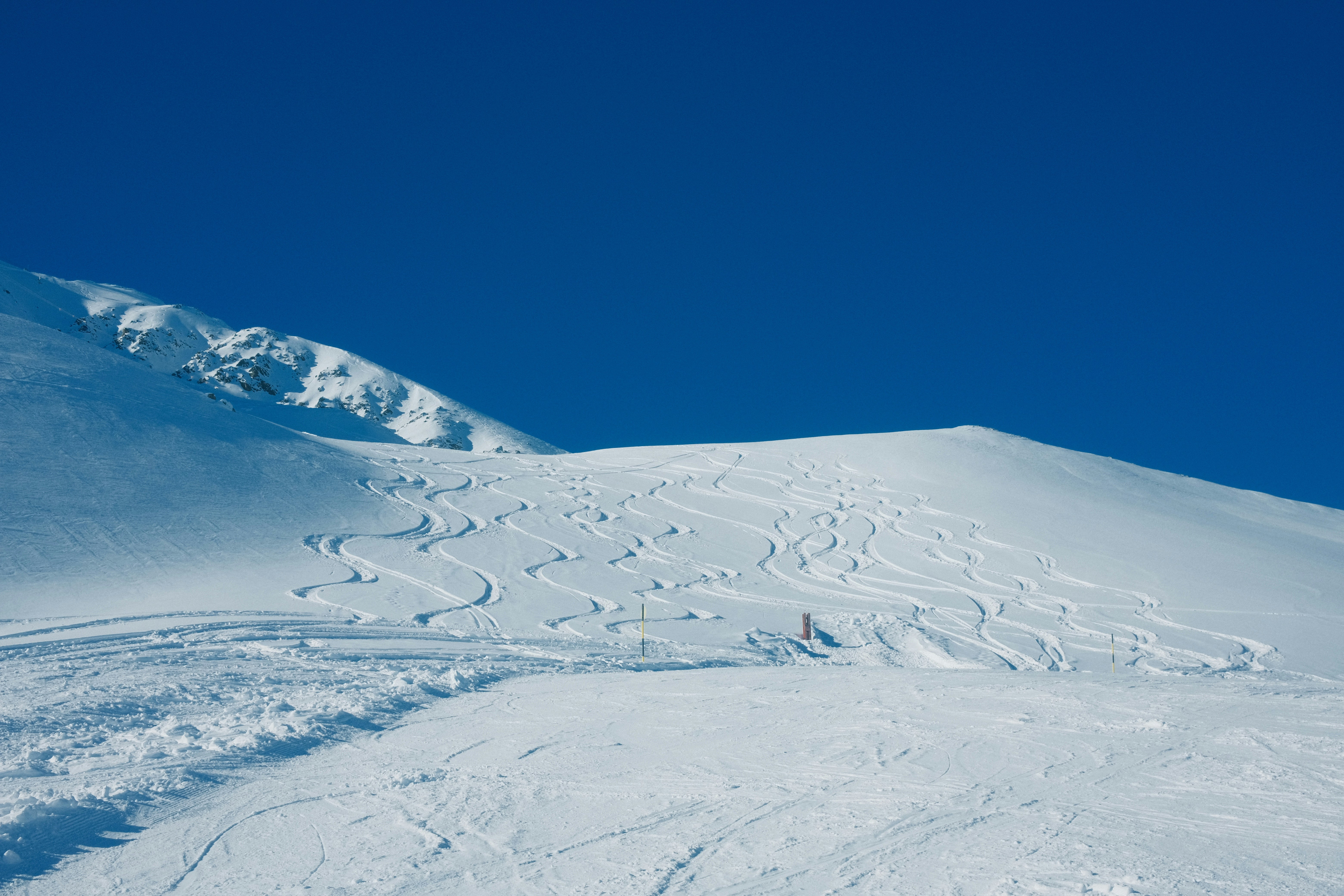 Photo by bring_shrubbery