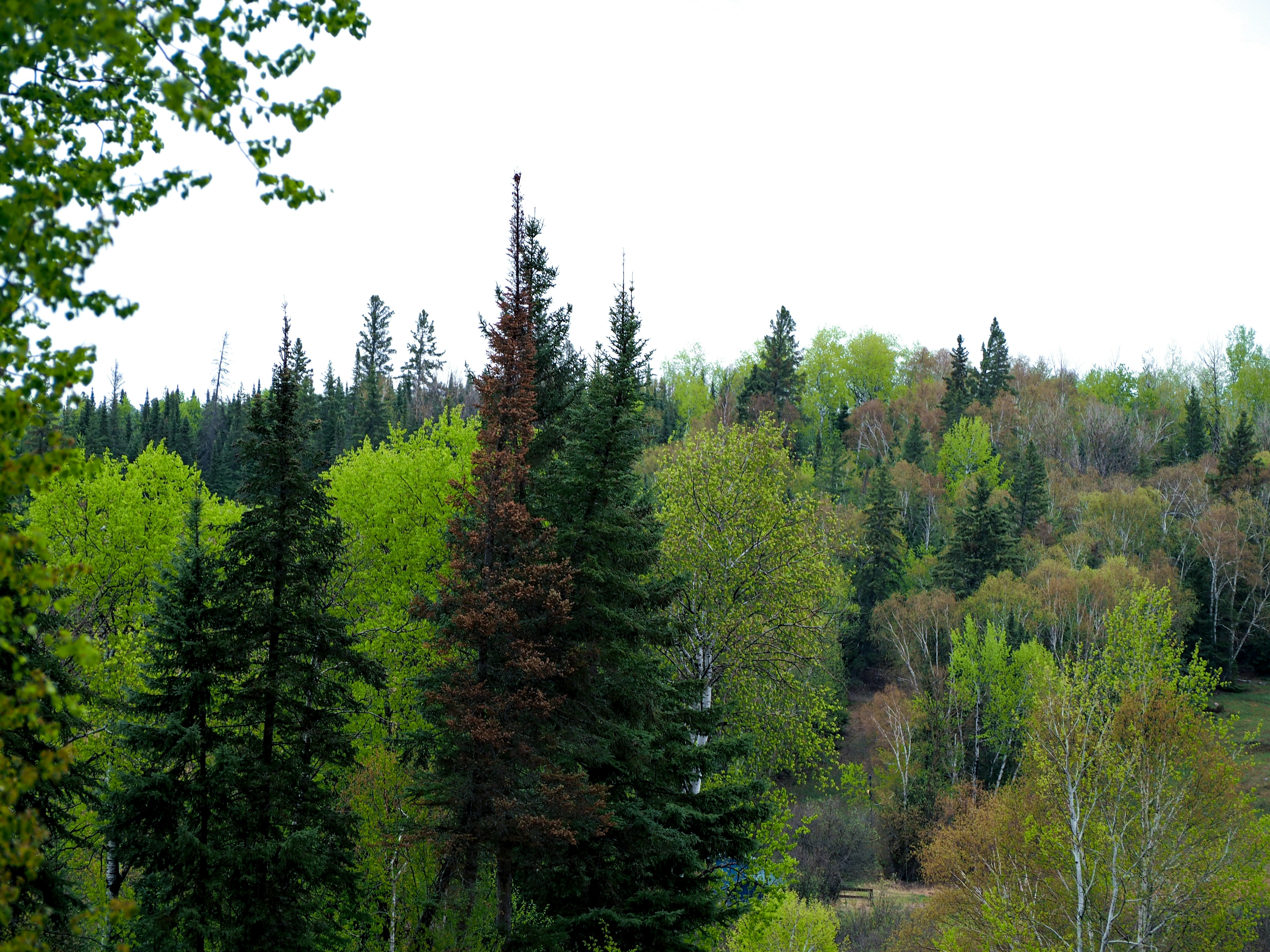 Photo by samueljames16