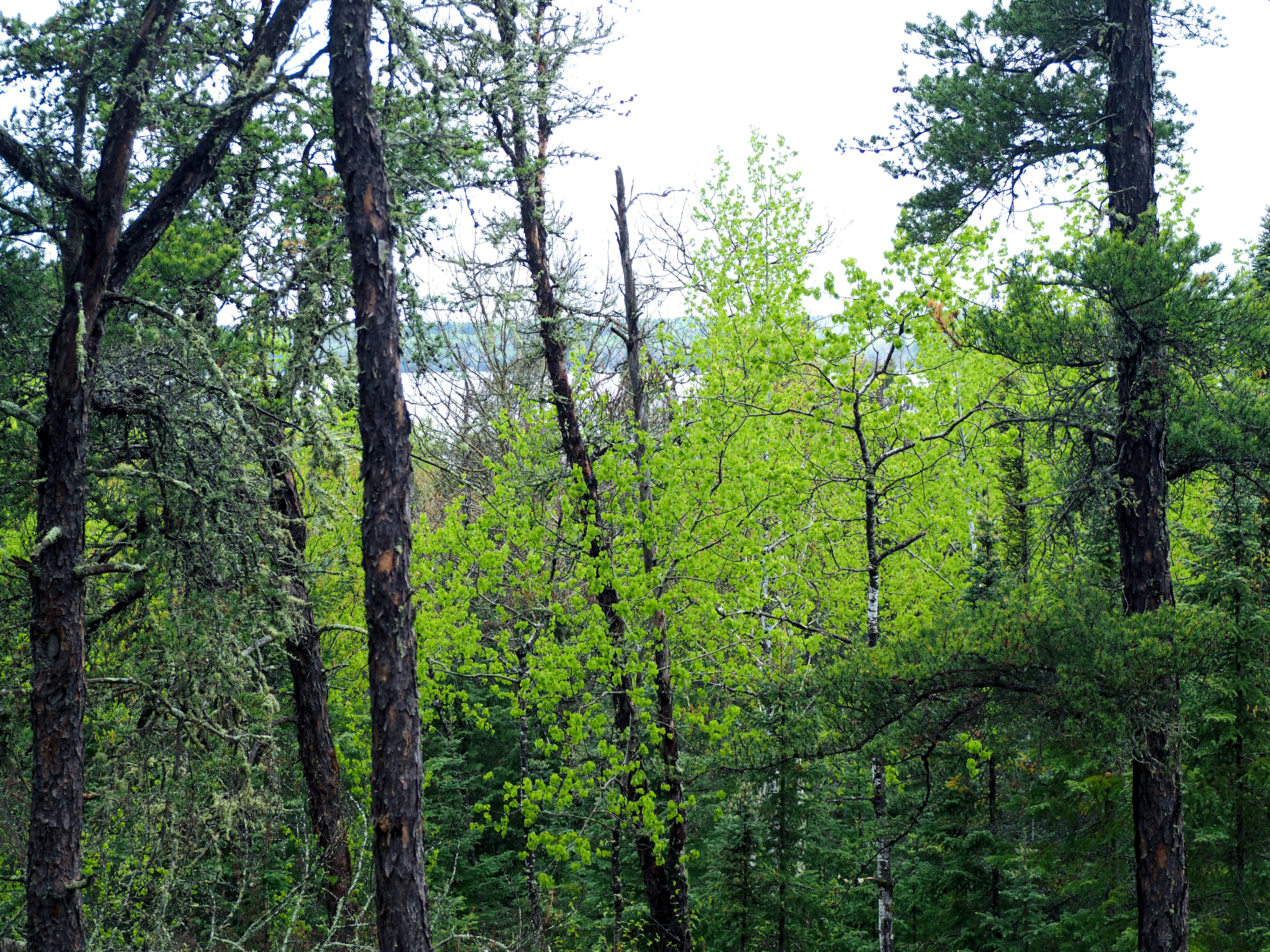 Photo by samueljames16