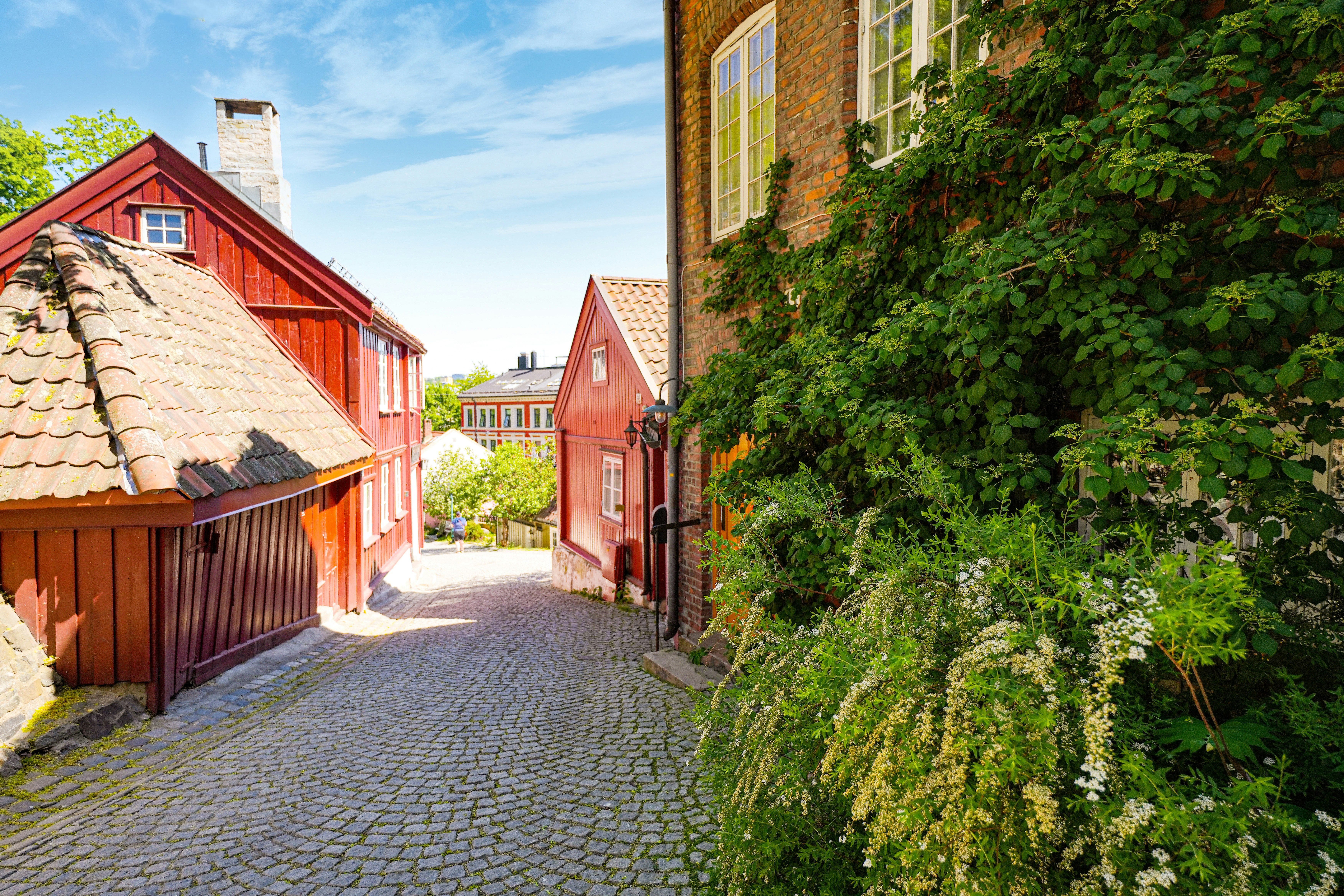 Photo by richardhatleskog