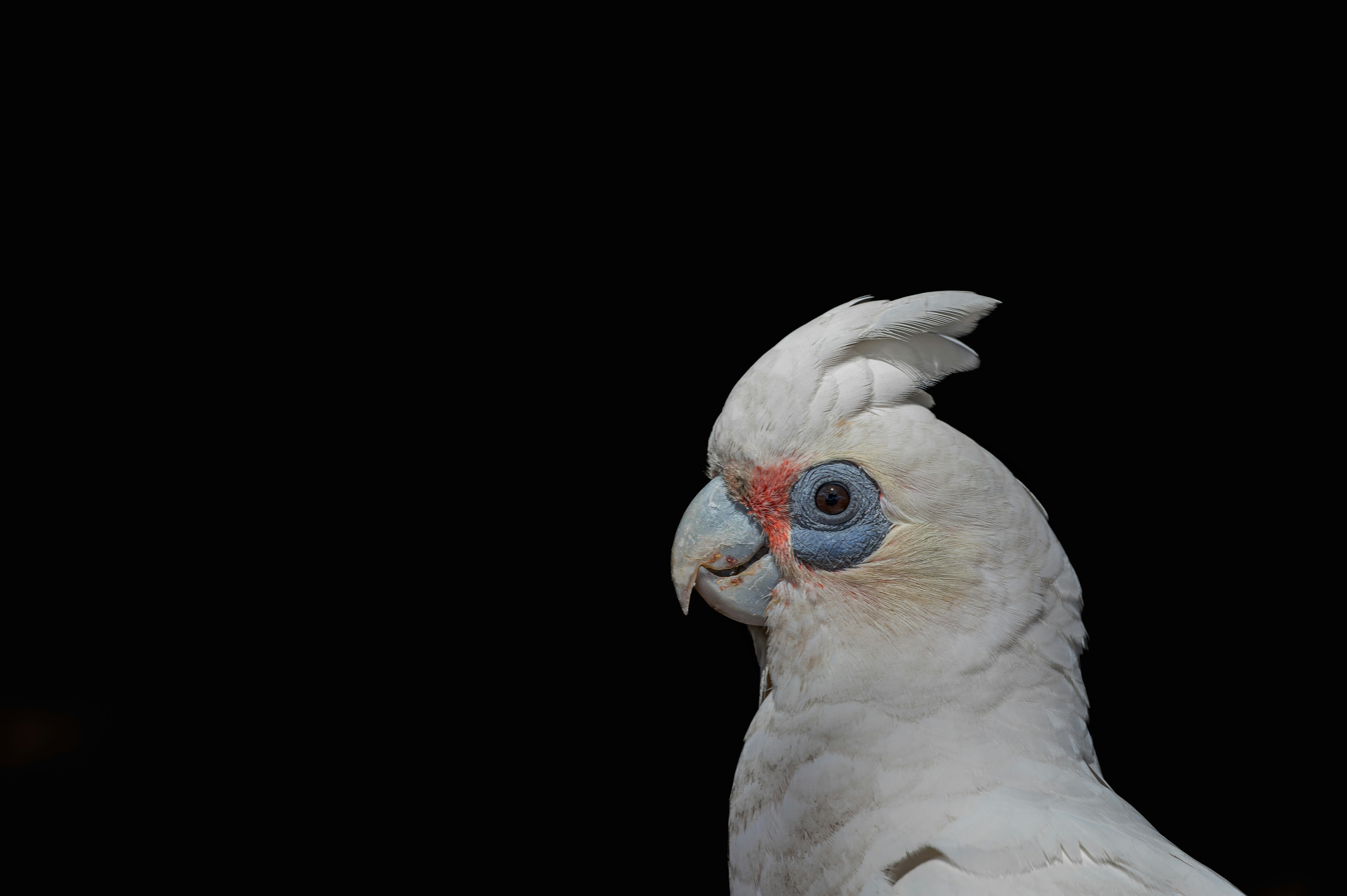 Photo by mbrittain01