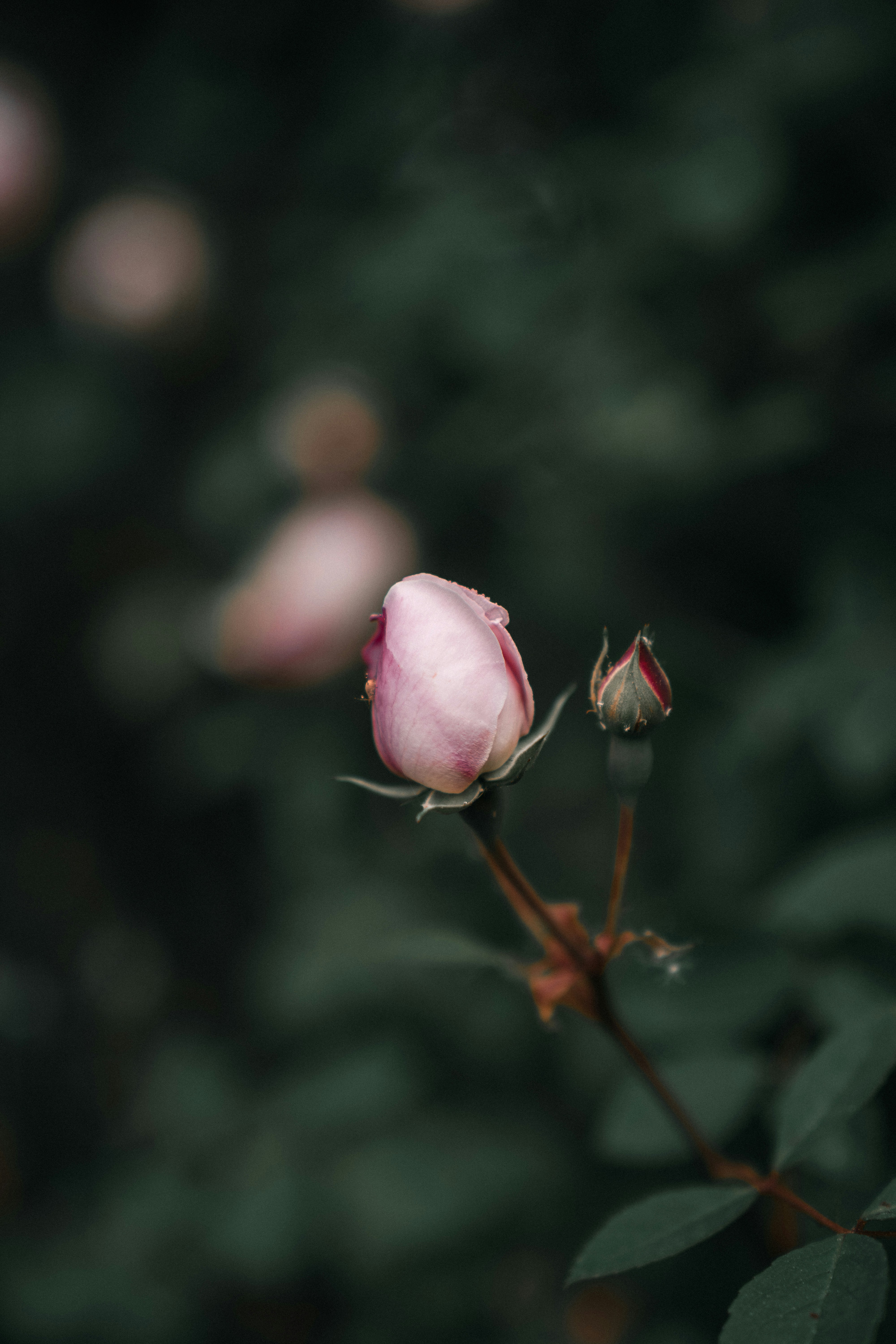 Photo by bangscreative