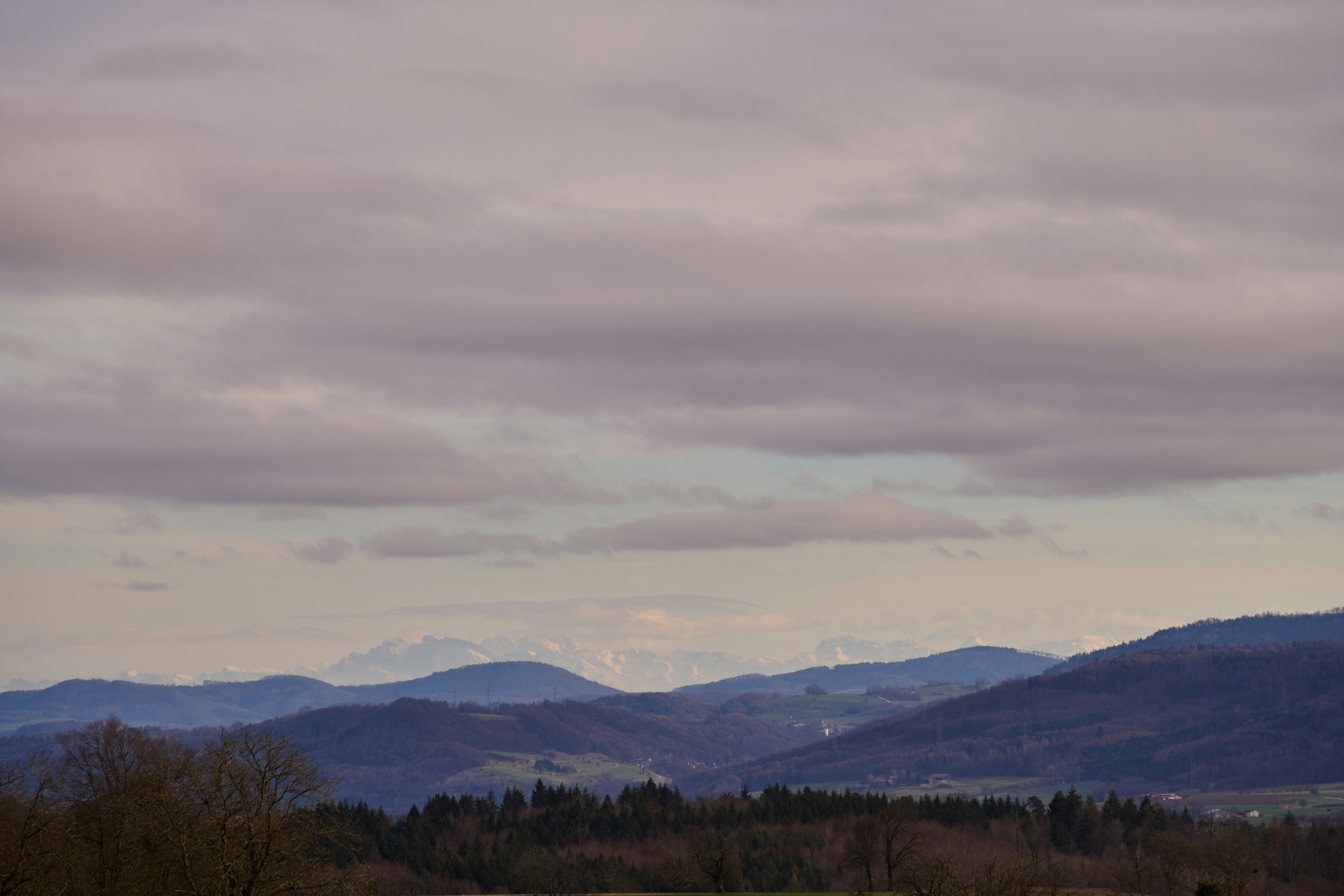 Photo by wolfgang_hasselmann