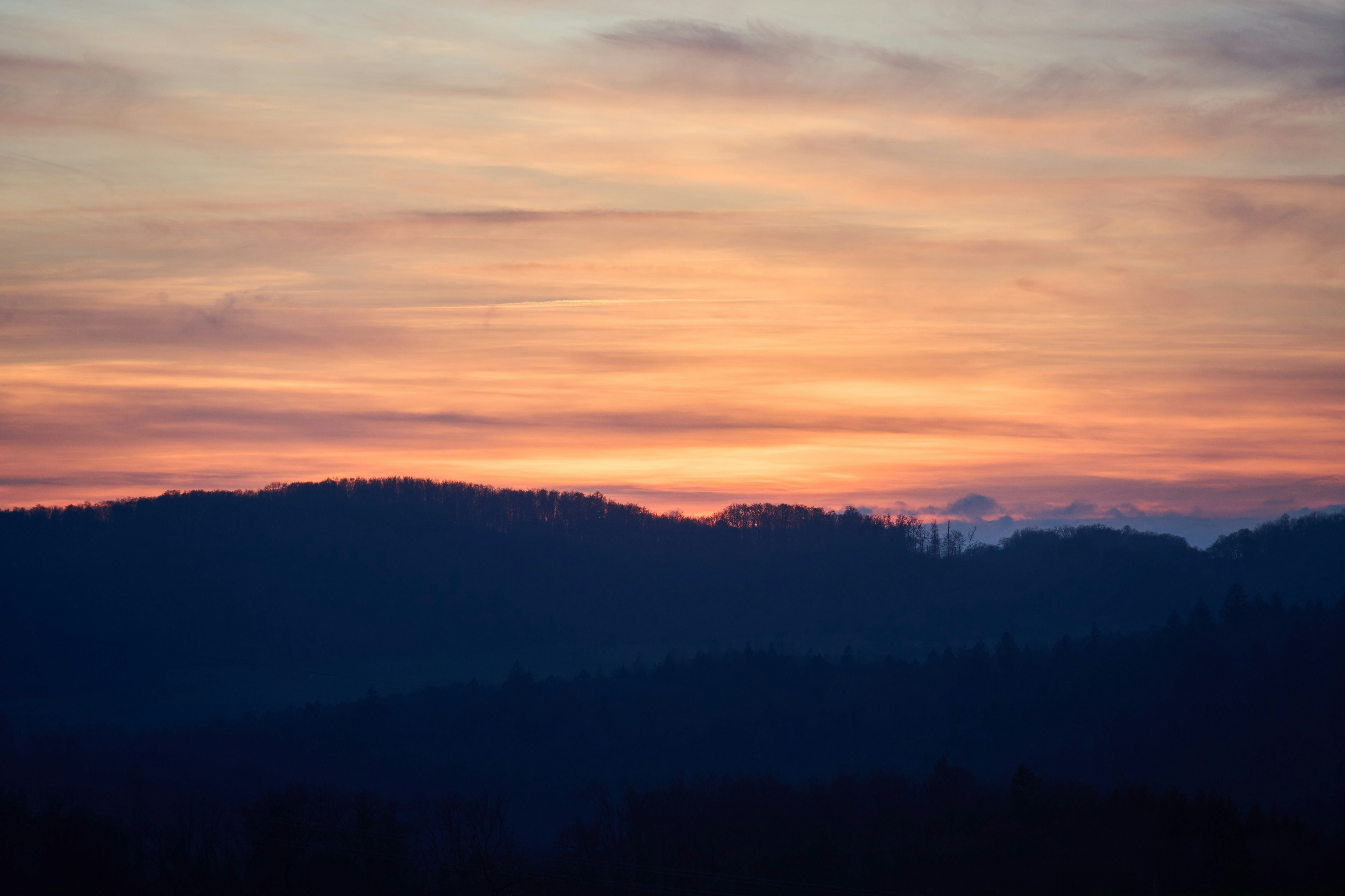 Photo by wolfgang_hasselmann