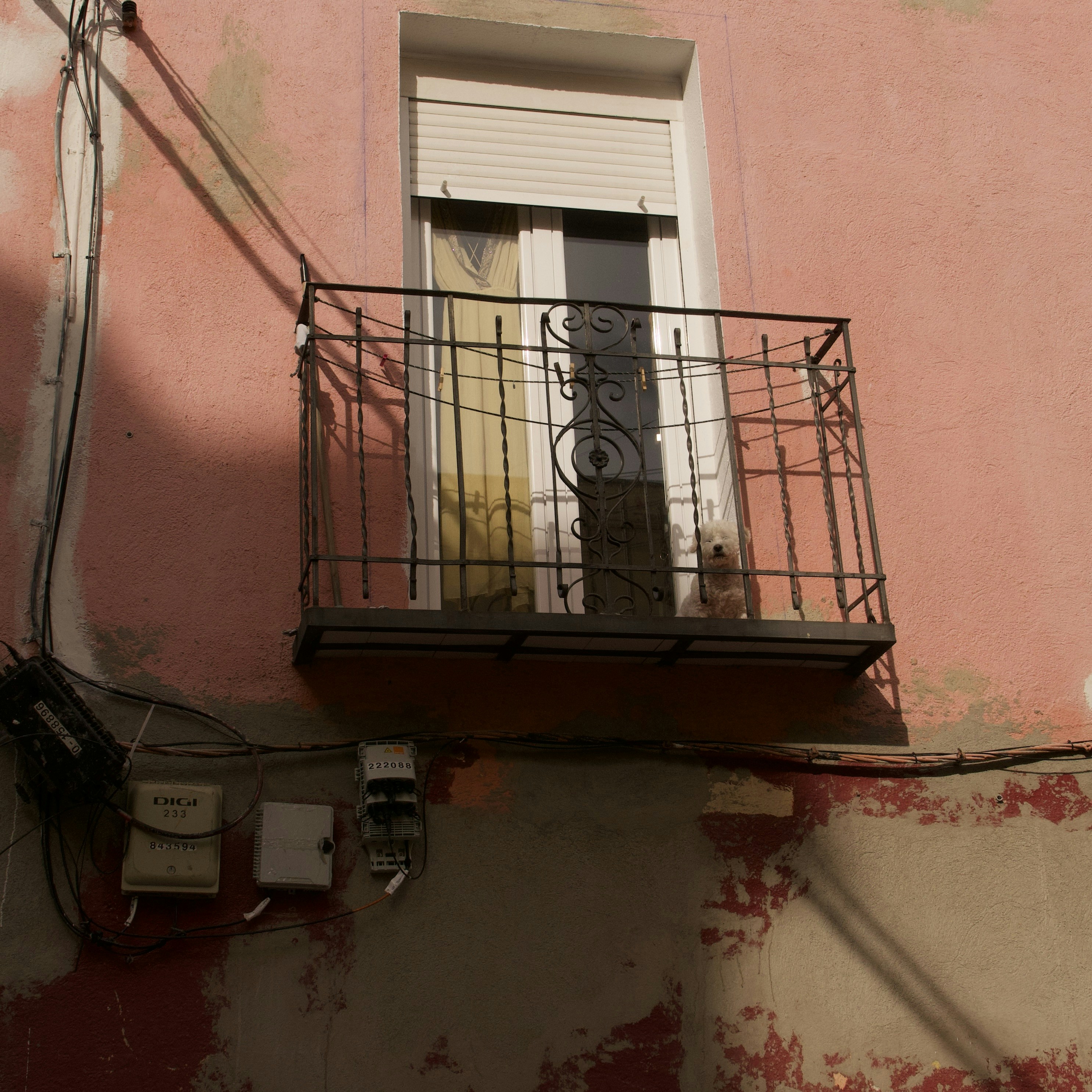 Photo by tomporelmonte