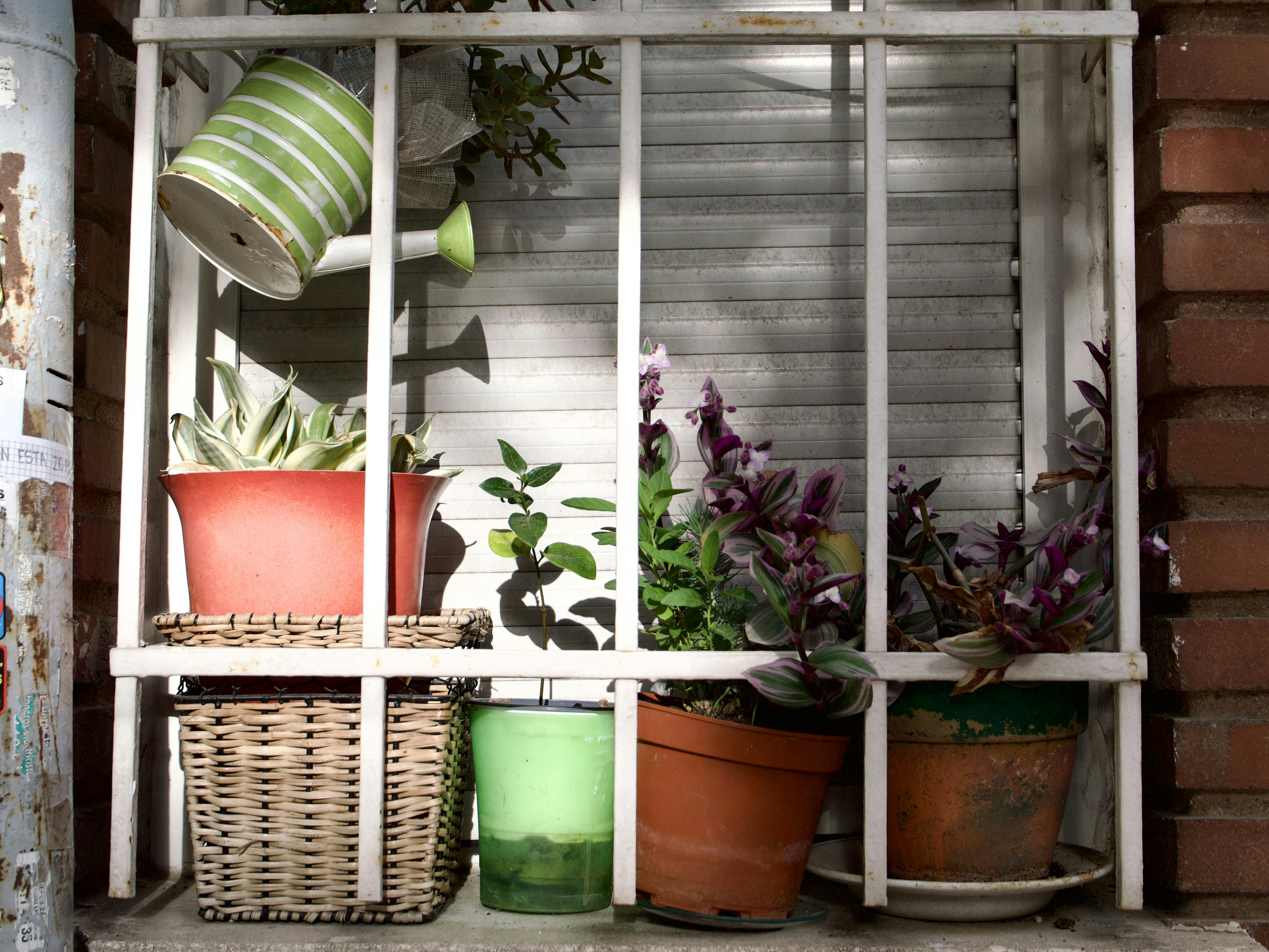 Photo by tomporelmonte