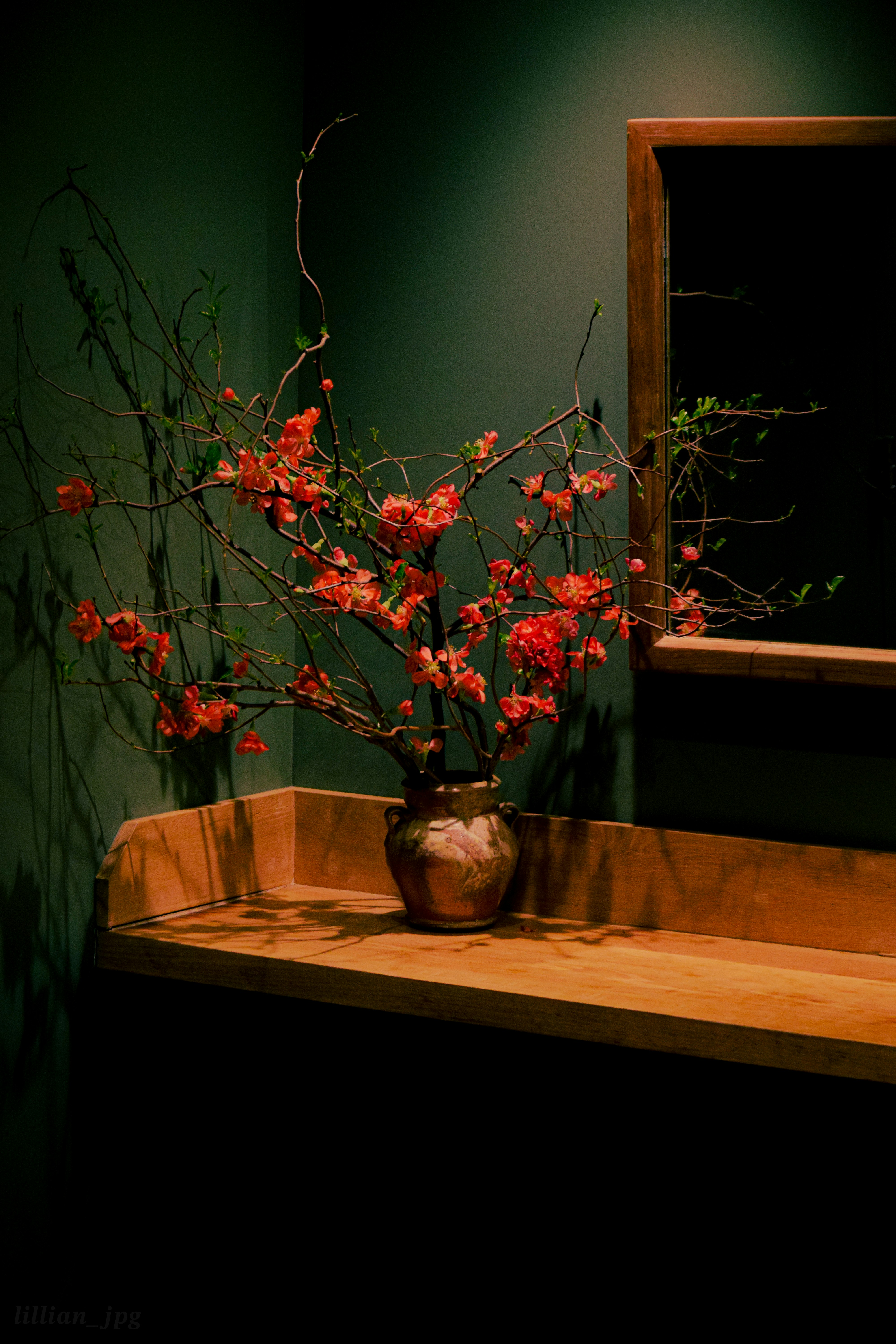 a vase filled with red flowers sitting on top of a wooden counter