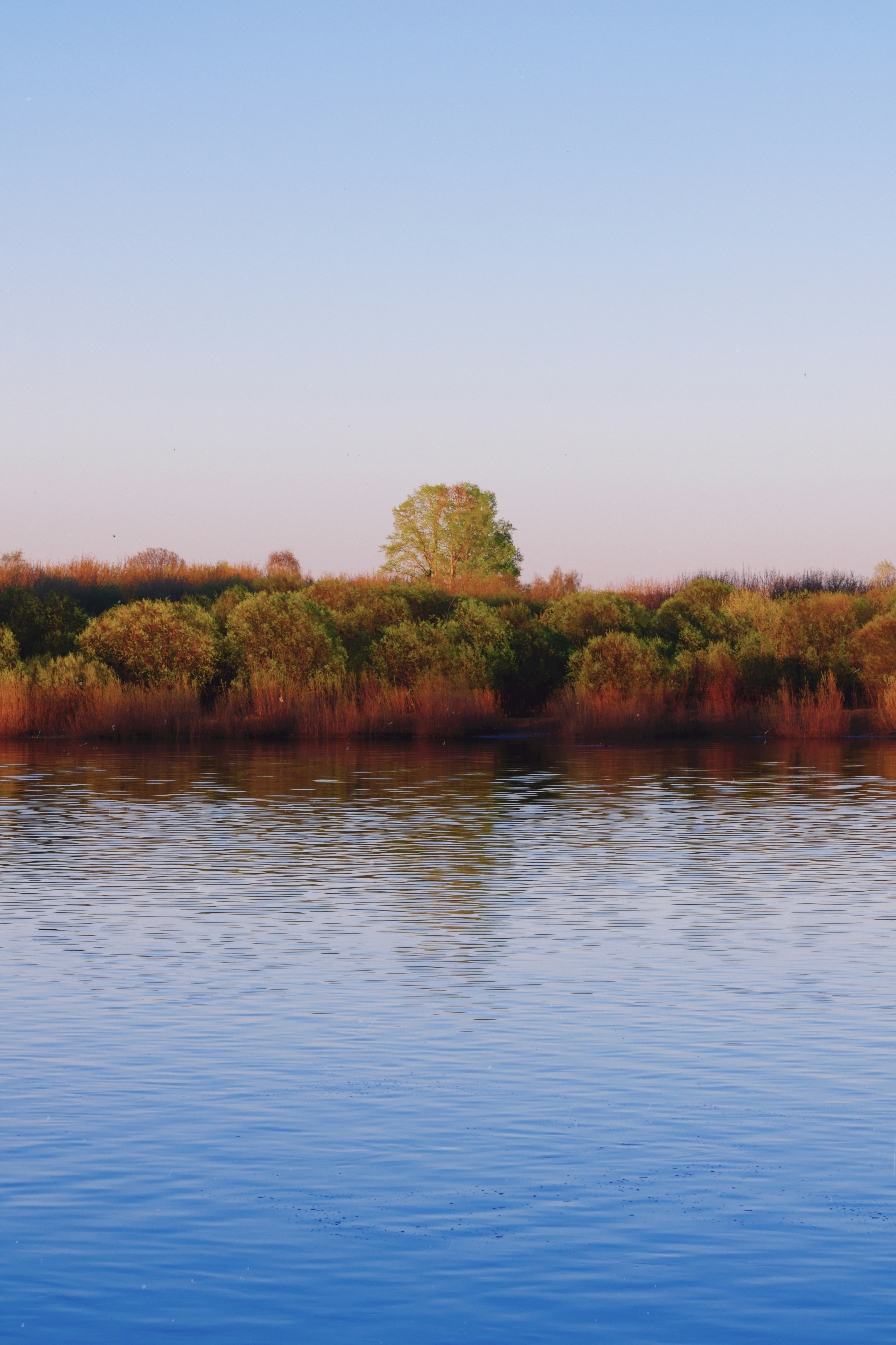 Photo by kazusaki_sagar