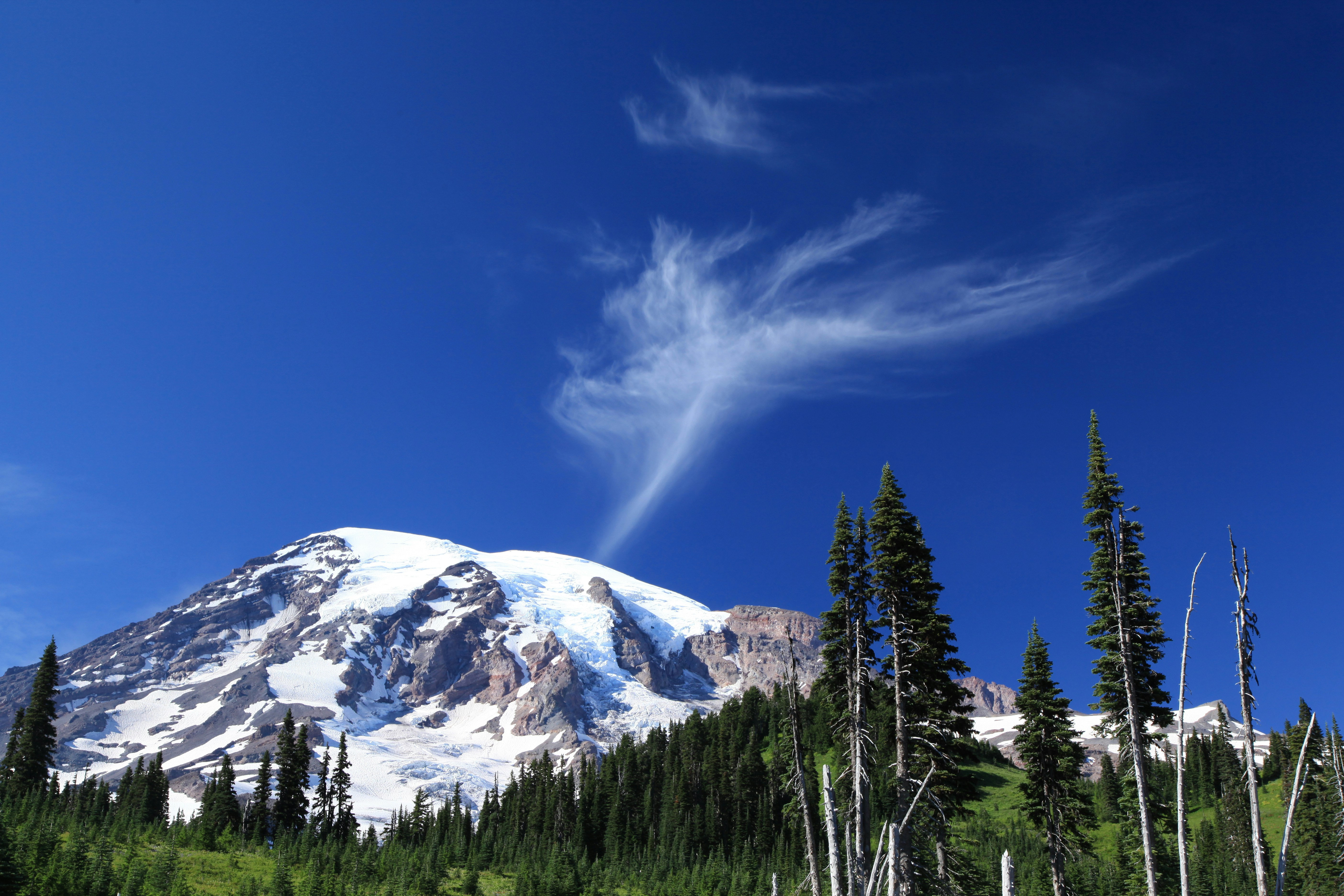 A mountain covered in snow and trees under a blue sky photo – Free ...