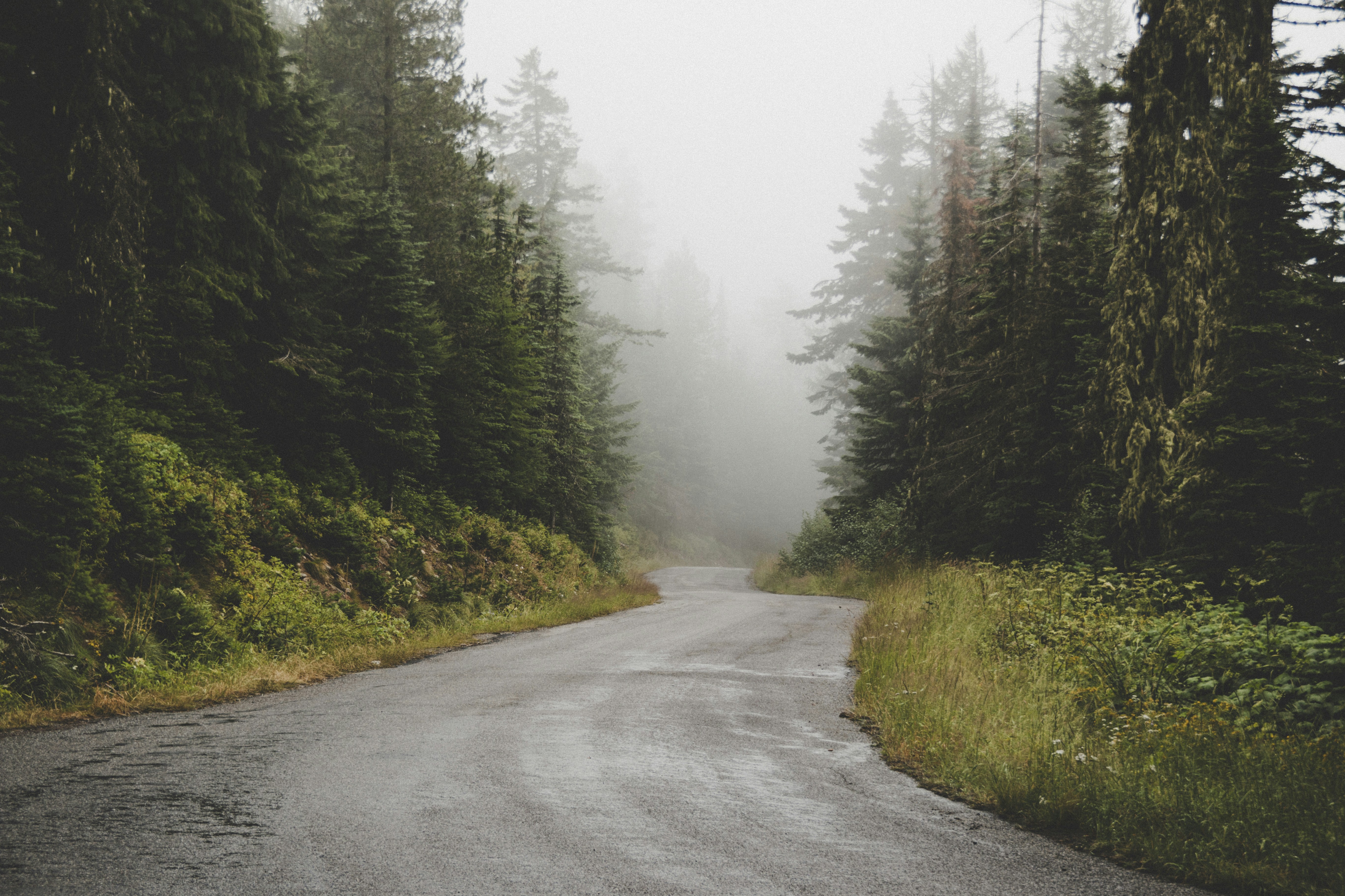 Photo by captaindavida