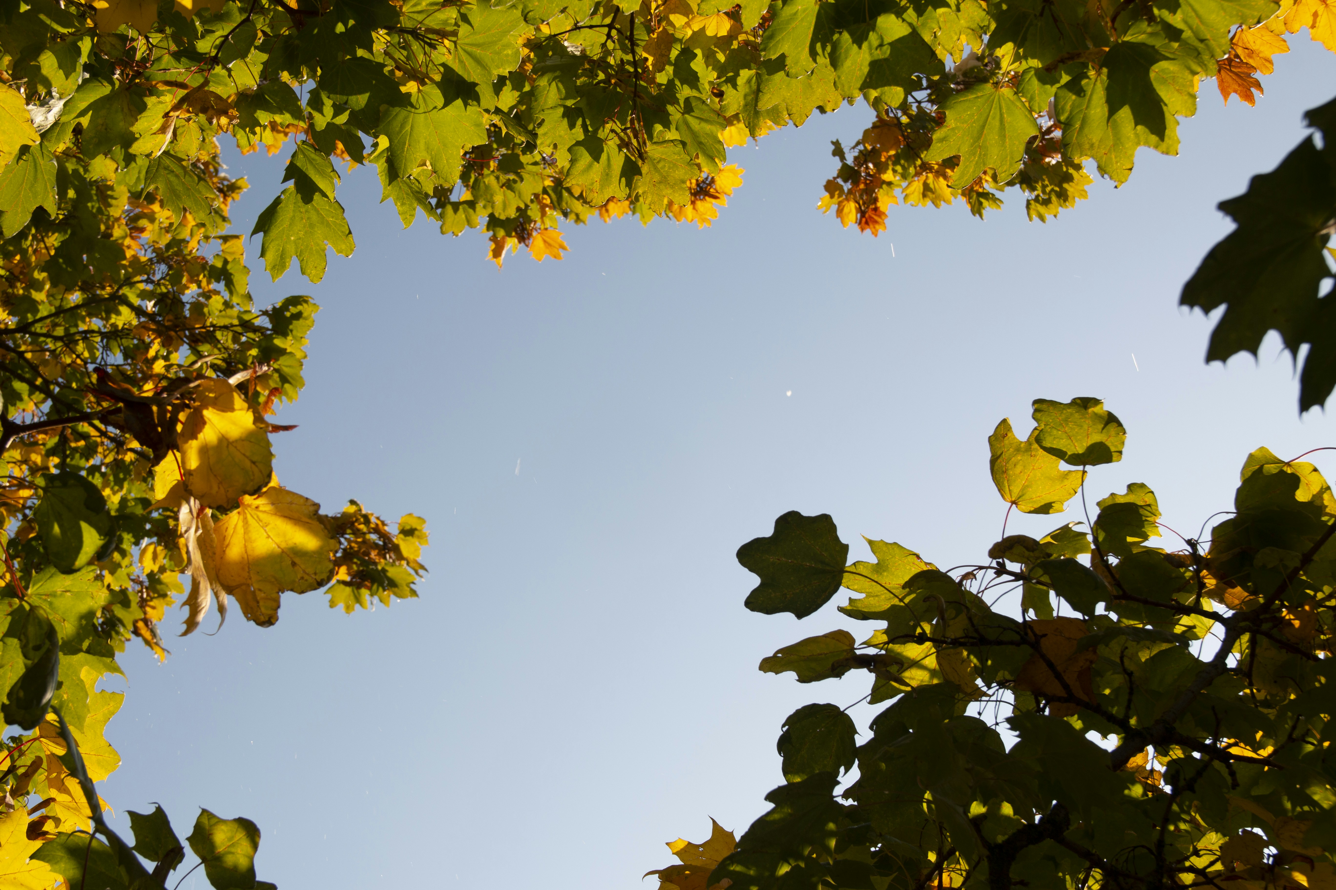 Photo by captaindavida