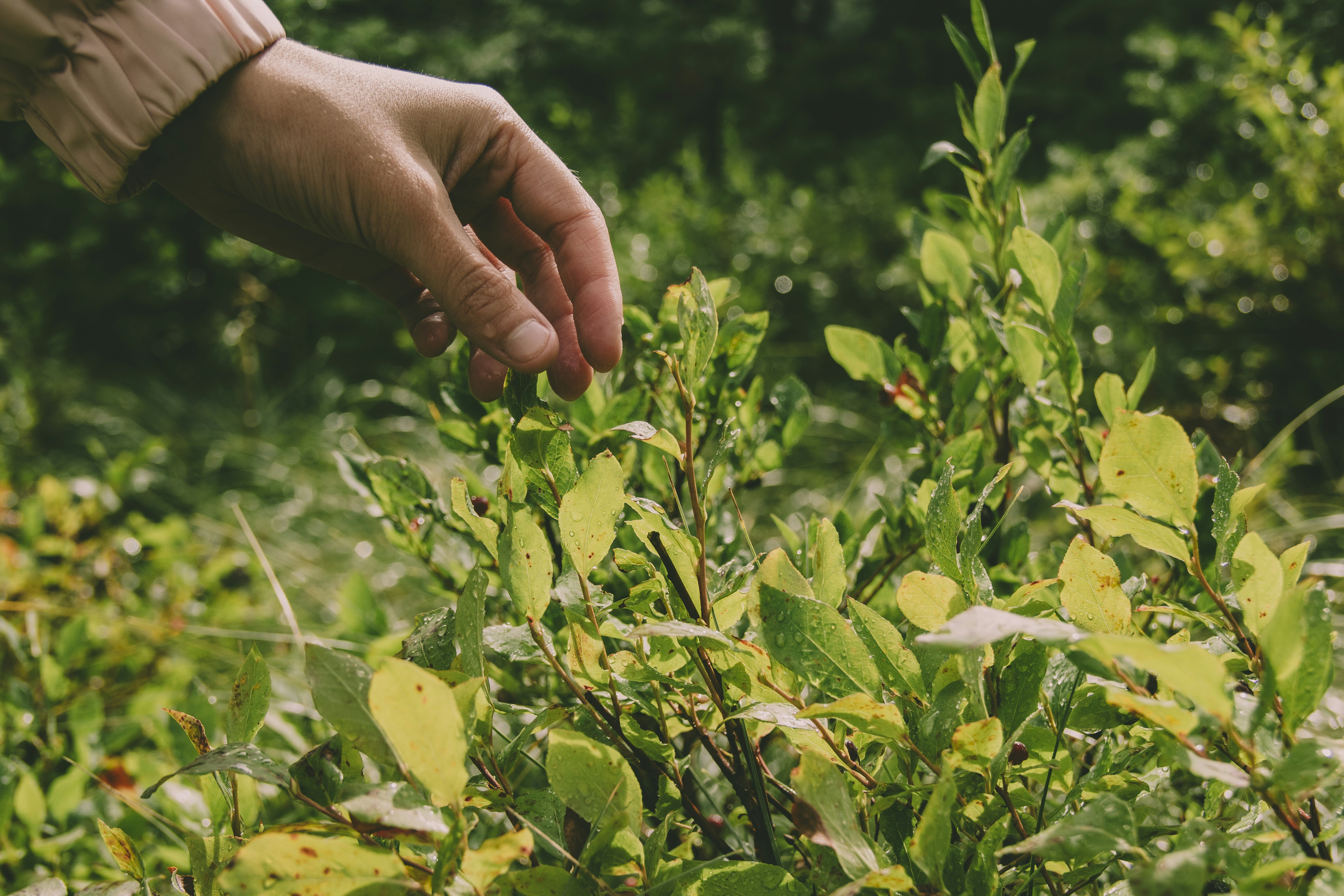 Photo by captaindavida