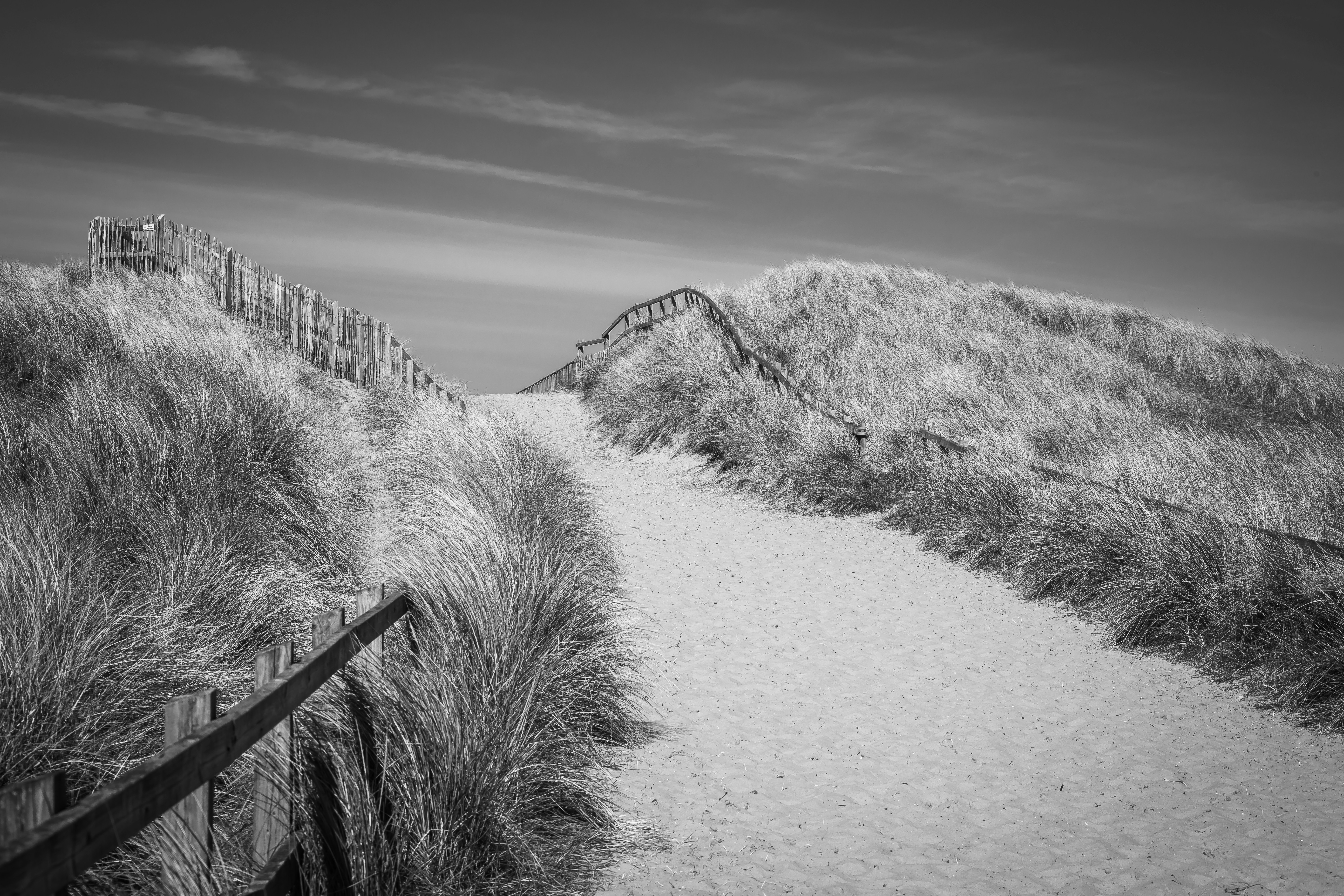 Photo by baystallion