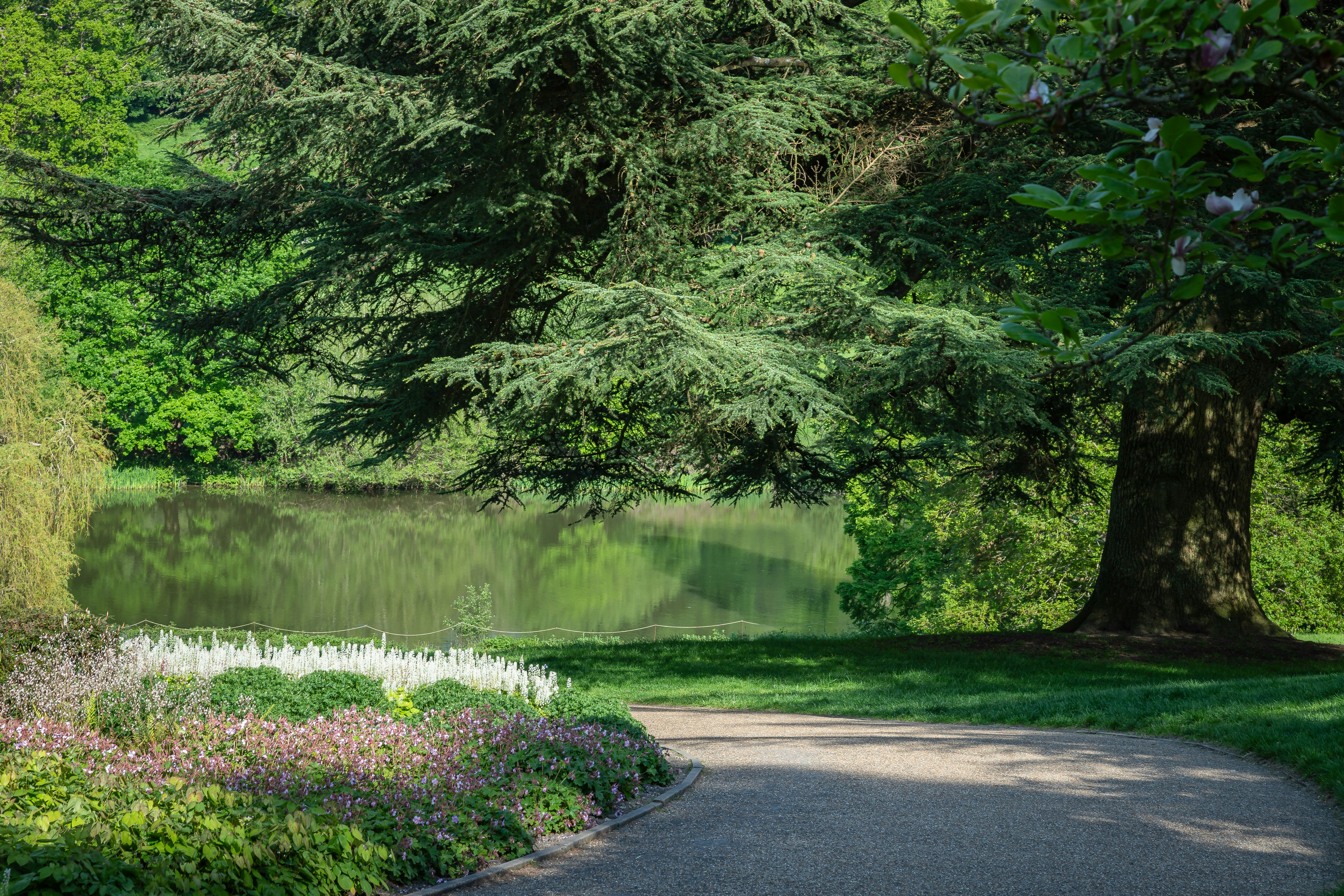 Photo by baystallion