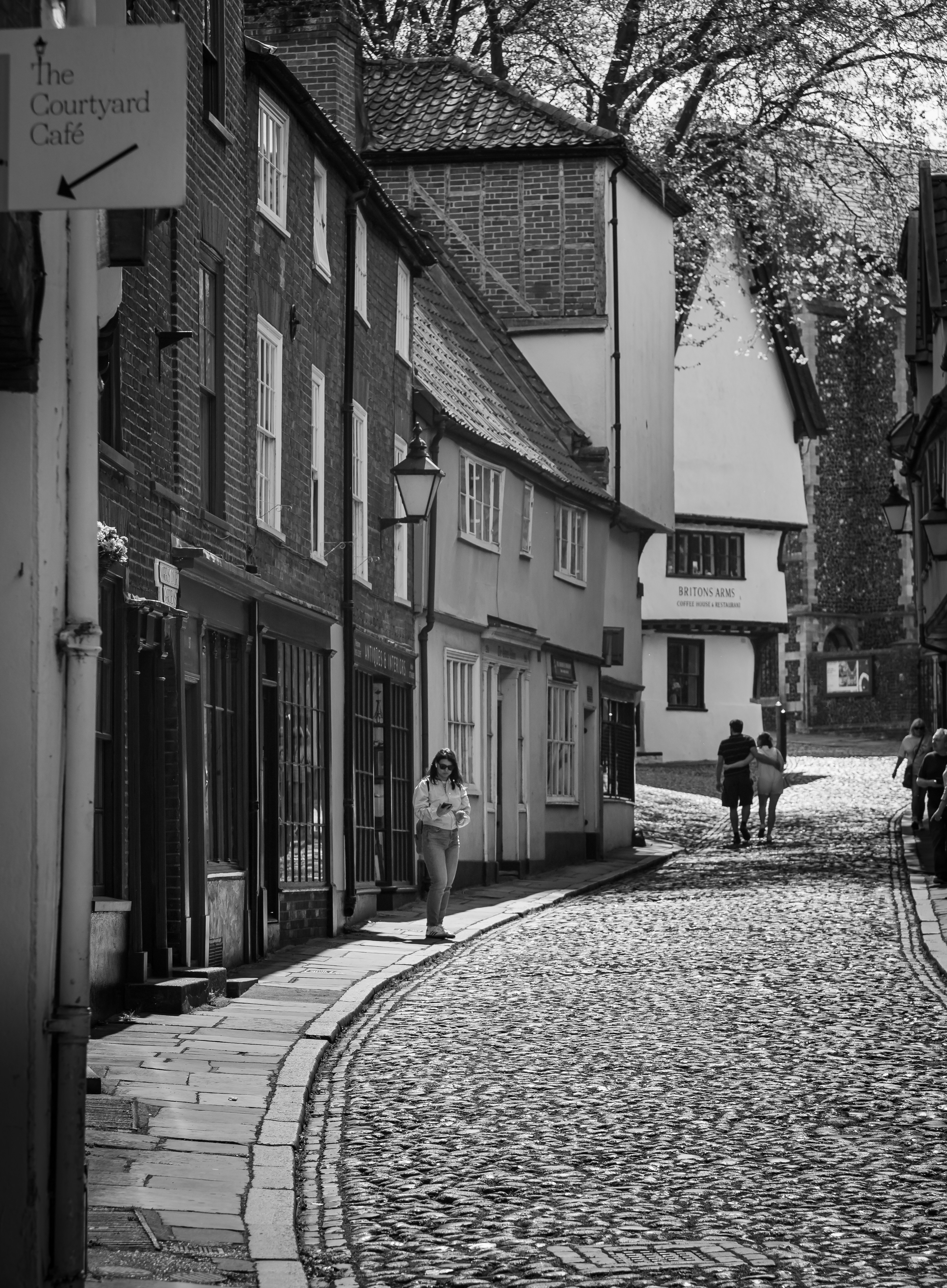 Photo by baystallion