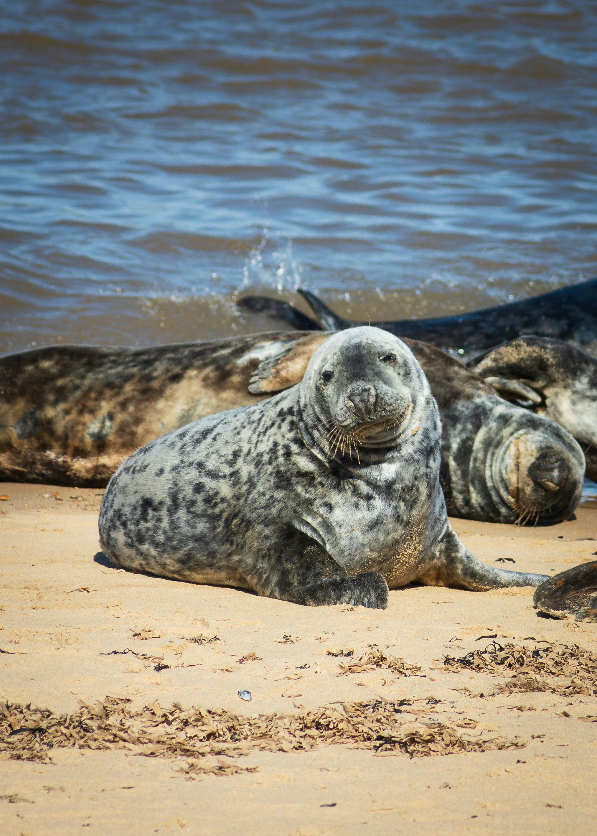 Photo by baystallion