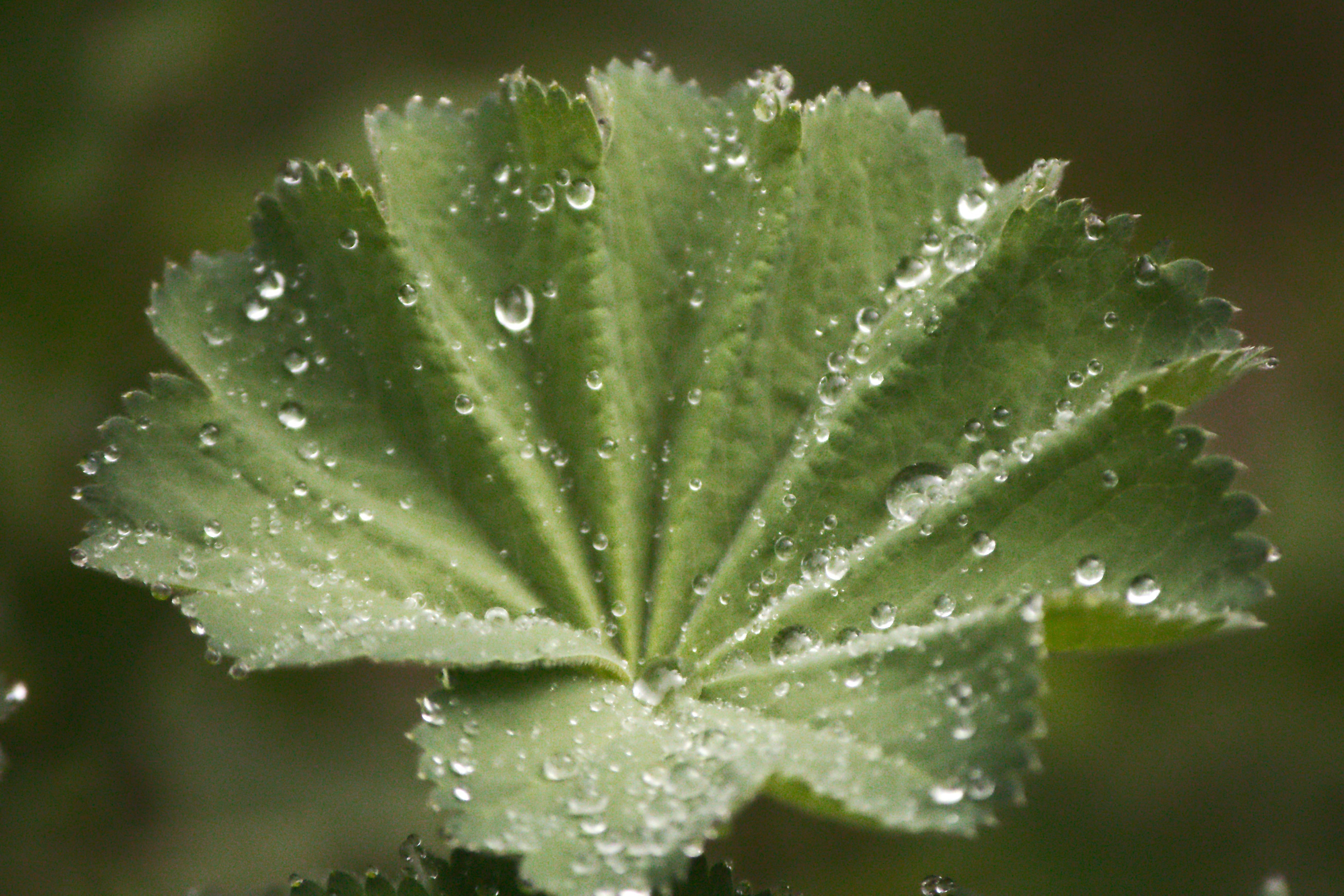 Crecimiento personal