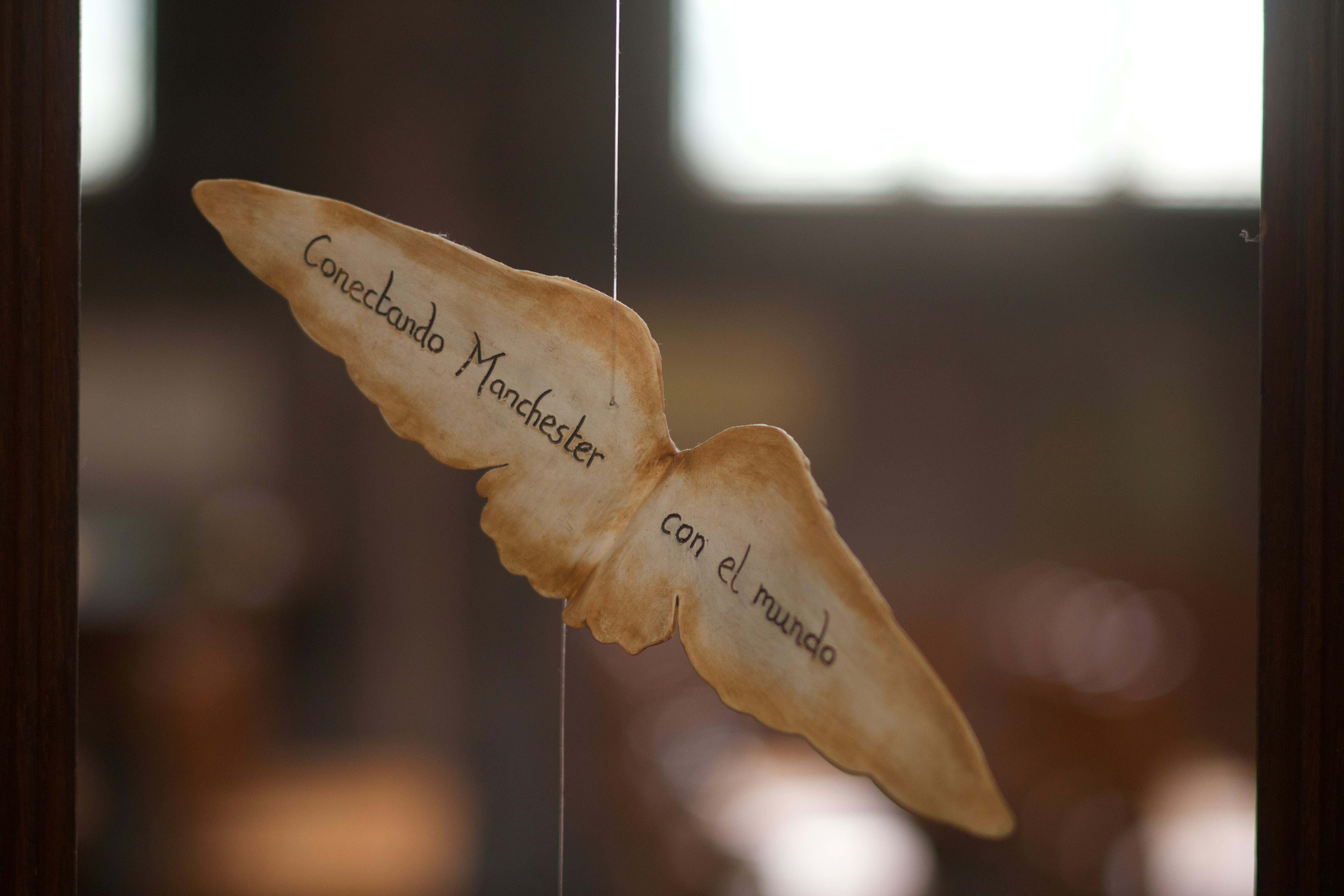 a close up of a glass window with a butterfly on it