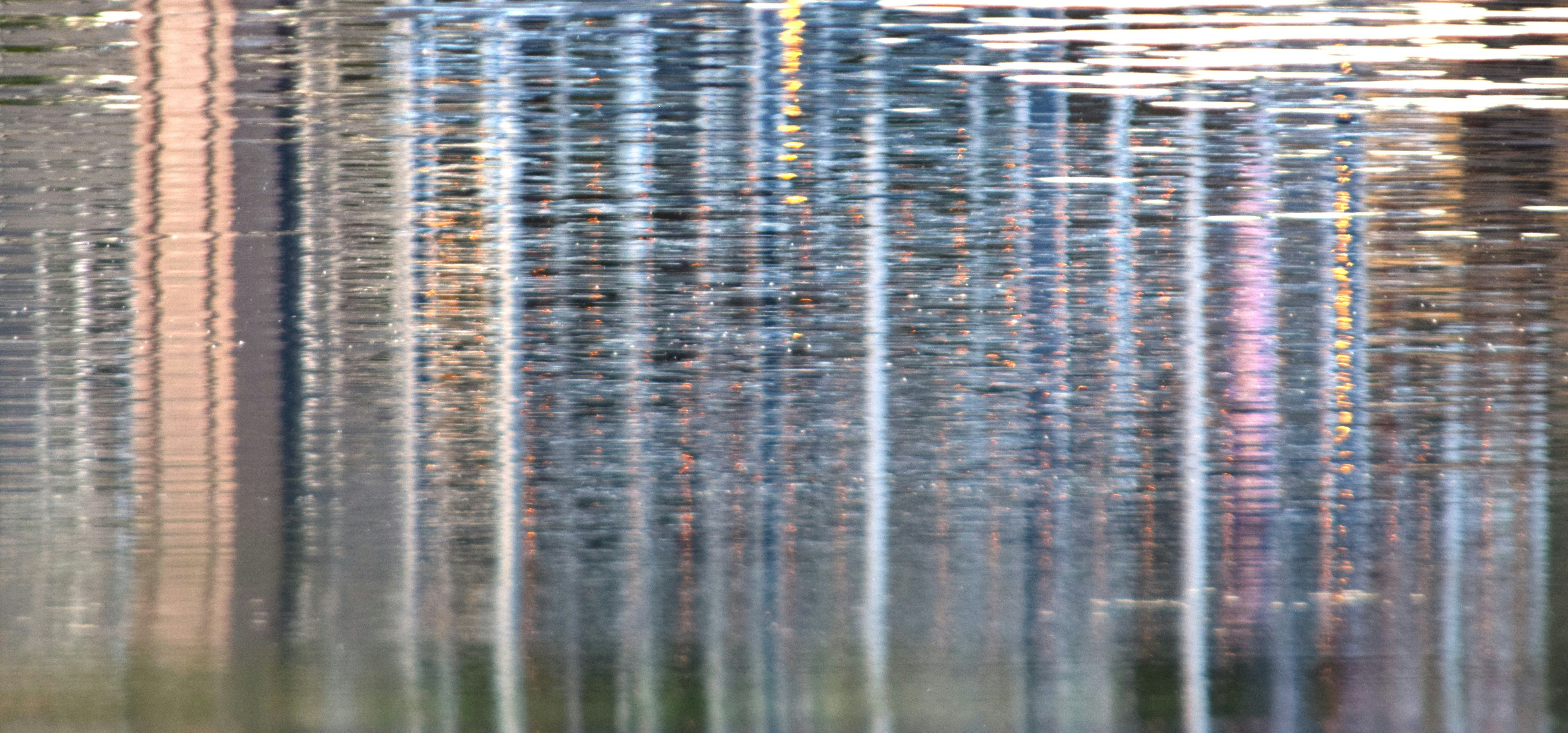 Photo by fr0ggy5_fr0ggy5