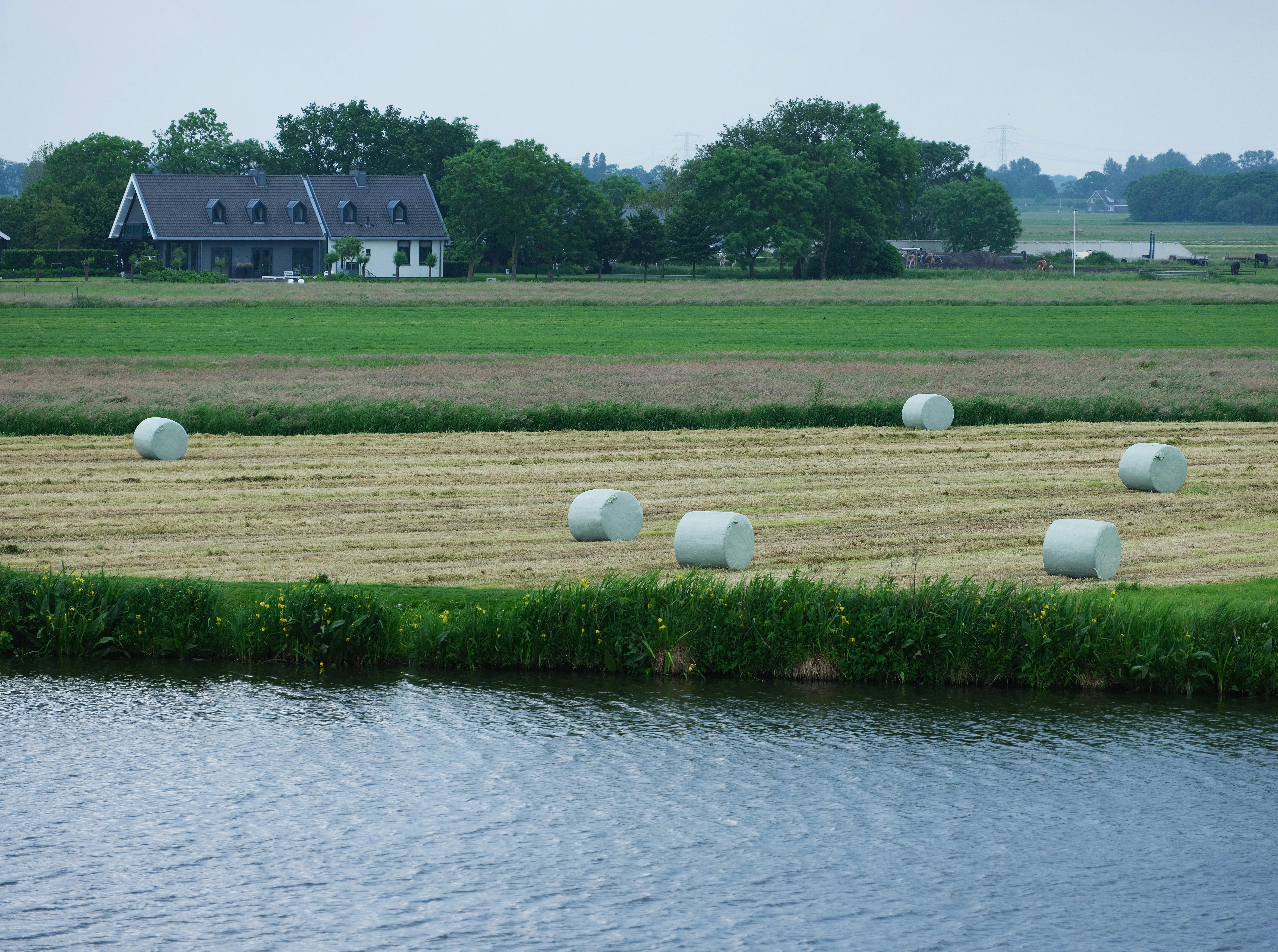 bales of hay in a field next to a body of water