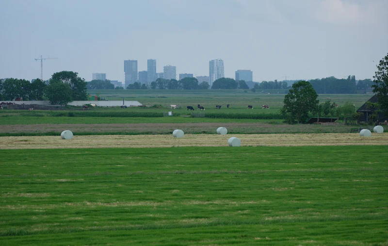 Hooibalen op een weiland bij Weesp — Nederlandse zomer