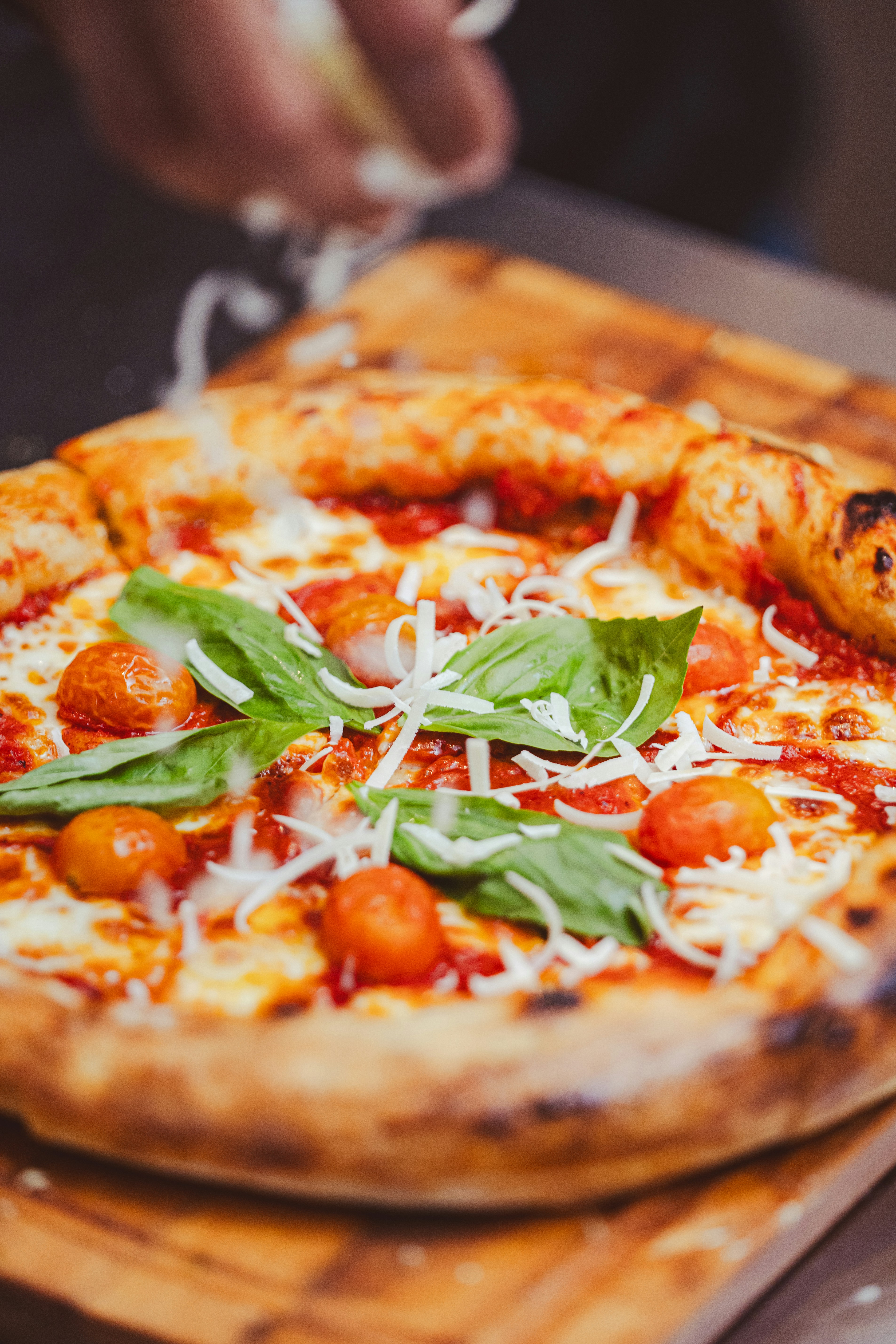 Photo by aldwardcv31