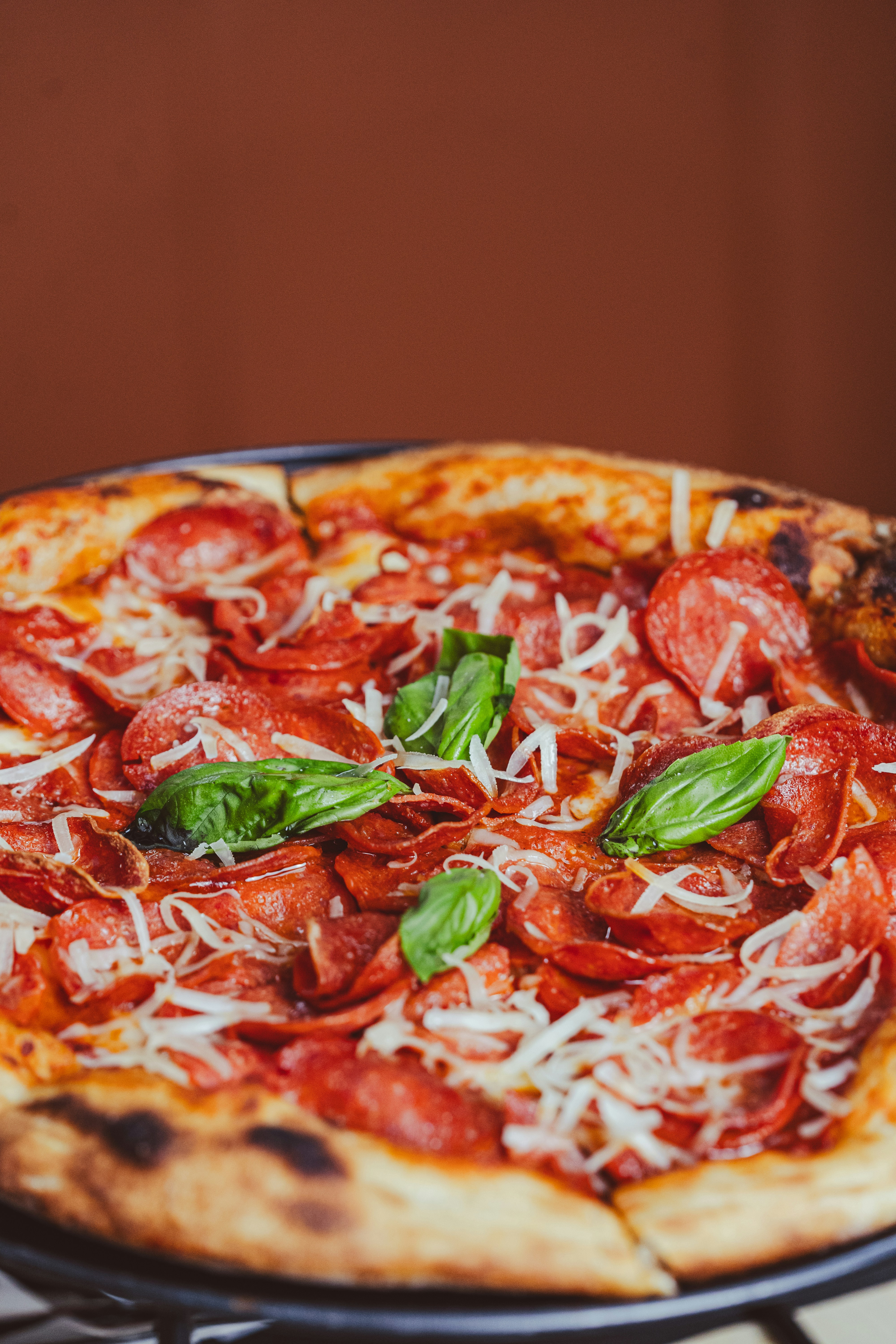 Photo by aldwardcv31