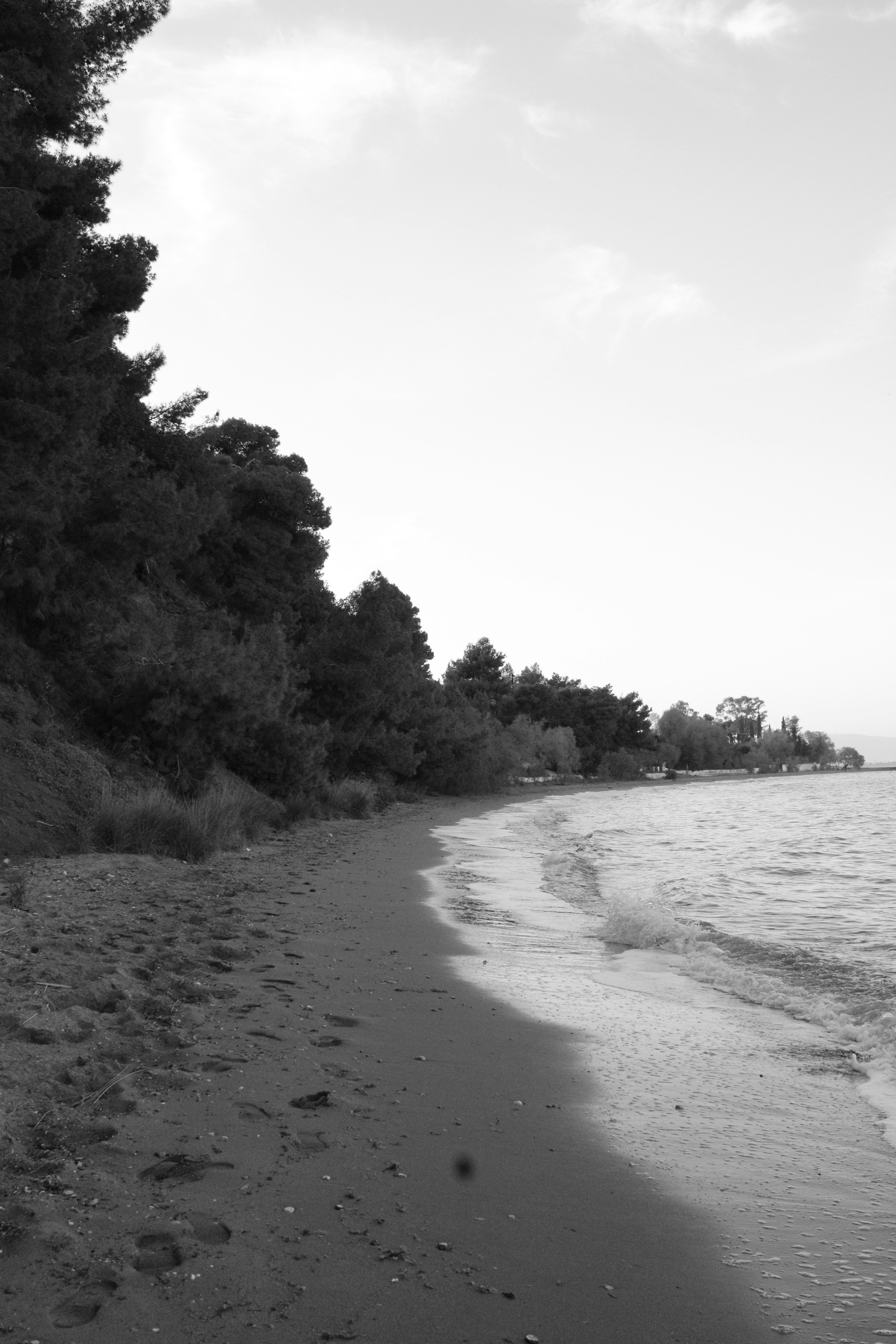 Photo by mary_karletsoy